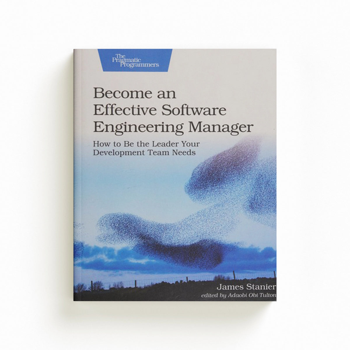 Become an Effective Software Engineering Manager by James Stanier; 9781680507249