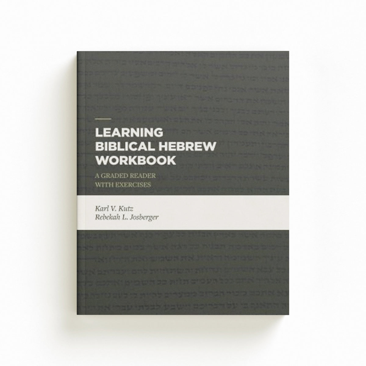 Learning Biblical Hebrew Workbook by Karl V. Kutz; 9781683592440