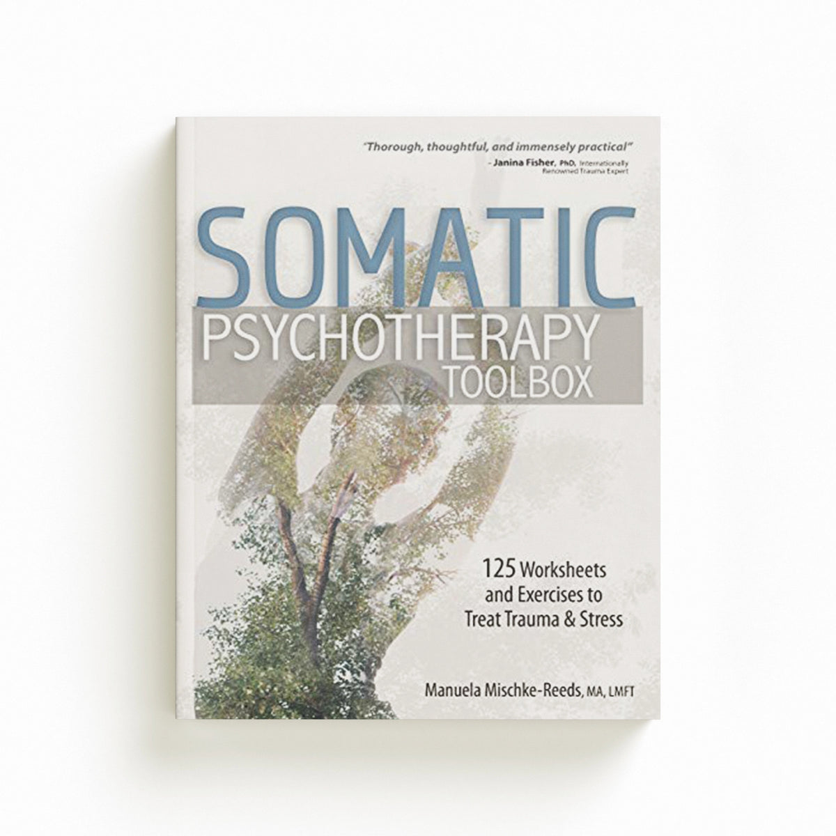 Somatic Psychotherapy Toolbox by Manuela Mischke-Reeds; 9781683731351