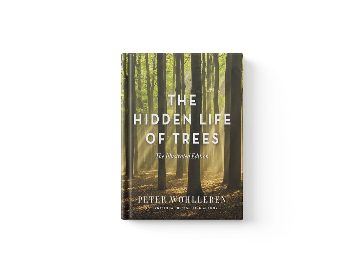 The Hidden Life of Trees by Peter Wohlleben; 9781771643481