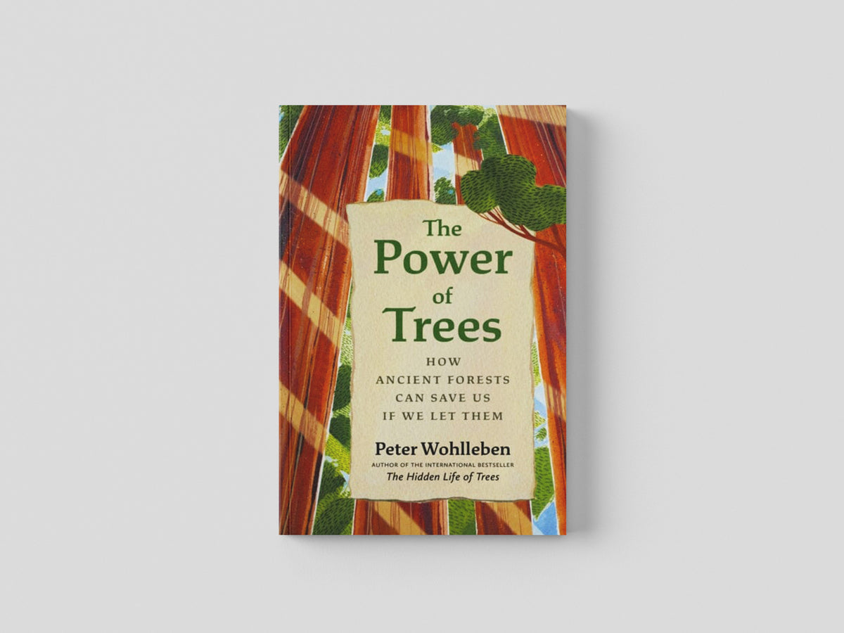 The Power of Trees by Peter Wohlleben; 9781771647748