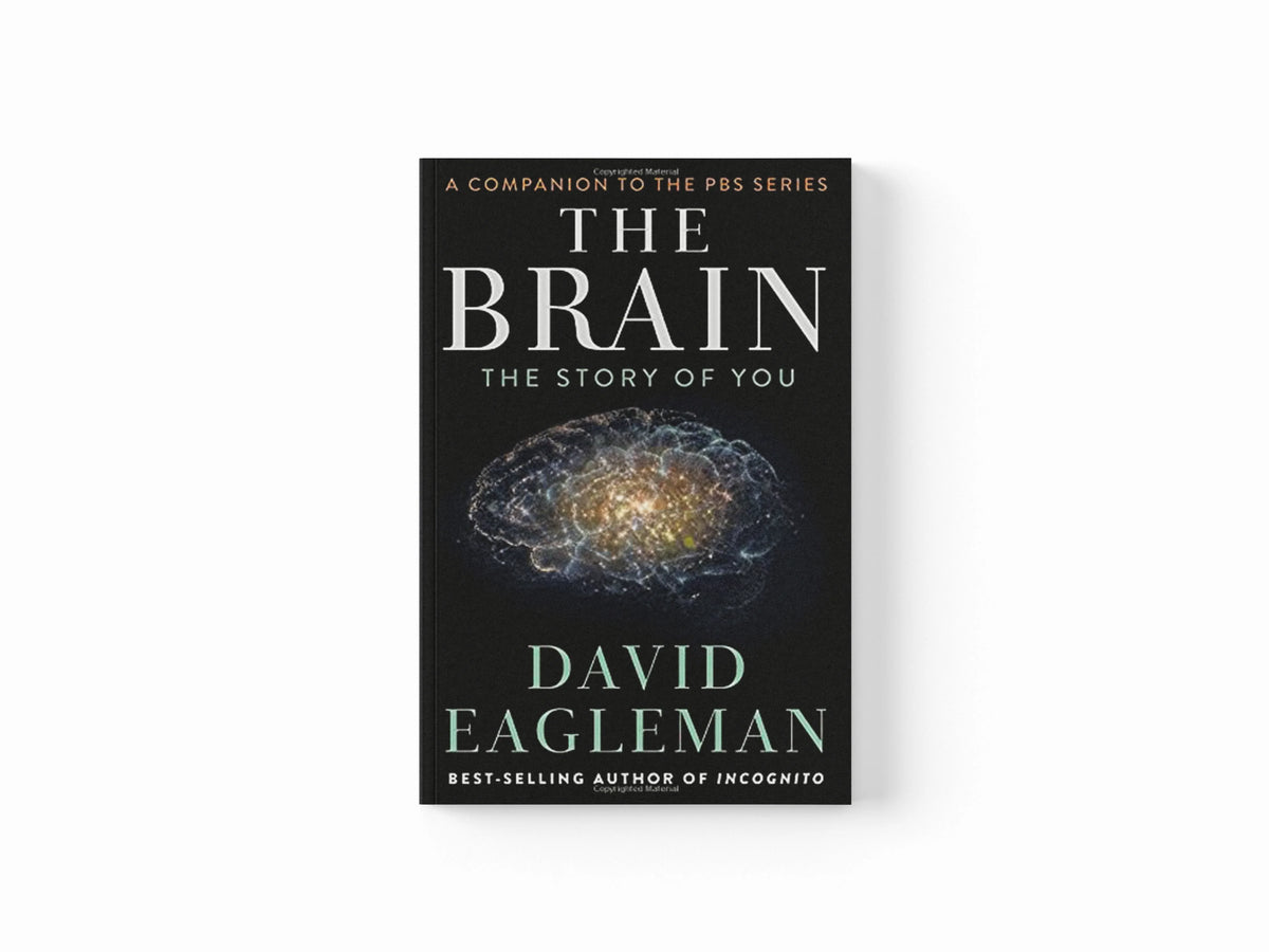The Brain by David Eagleman; 9781782116615