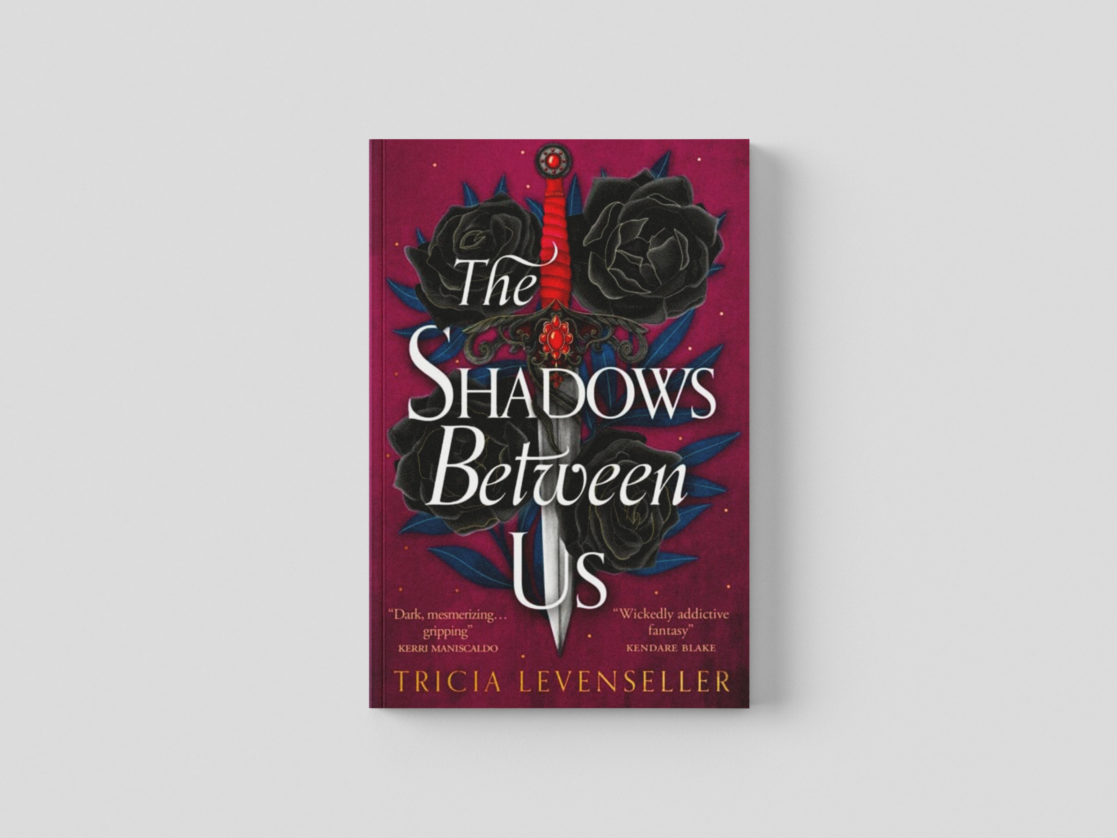 The Shadows Between Us by Pushkin Children's Books; 9781782693727