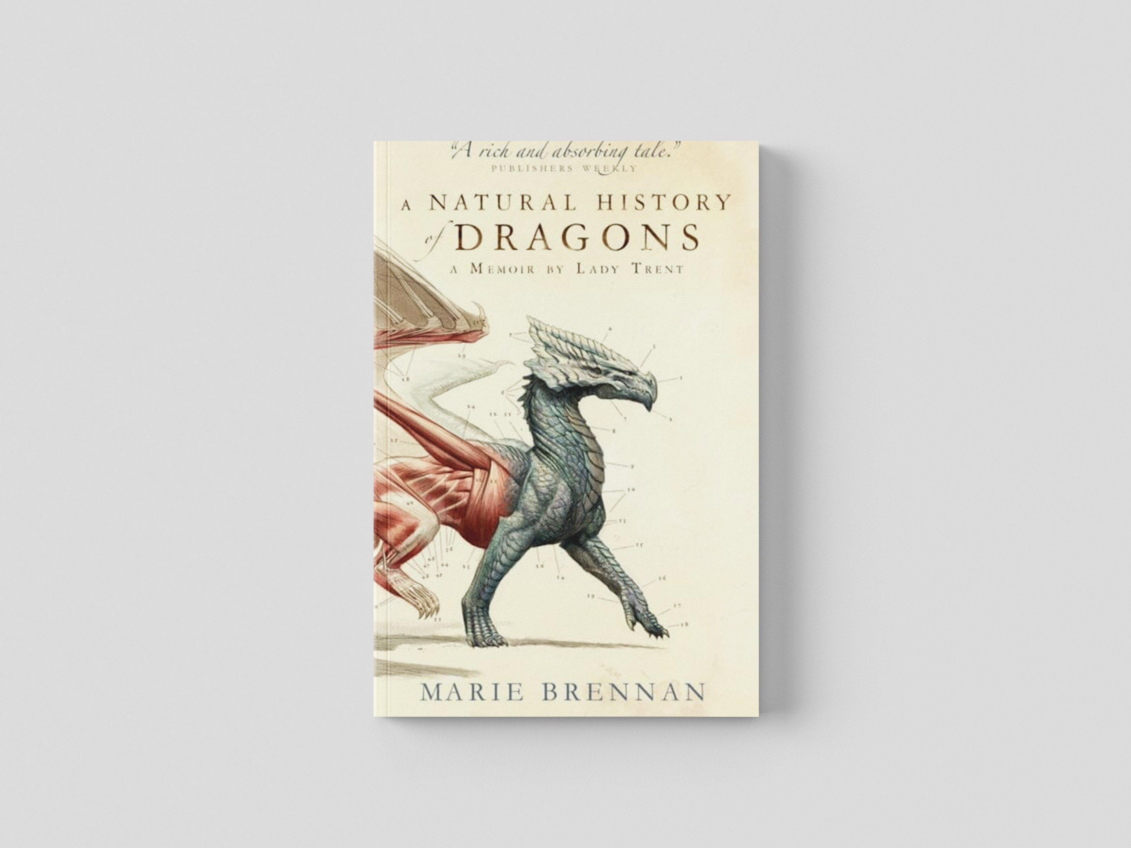 A Natural History of Dragons by Titan Books Ltd; 9781783292394