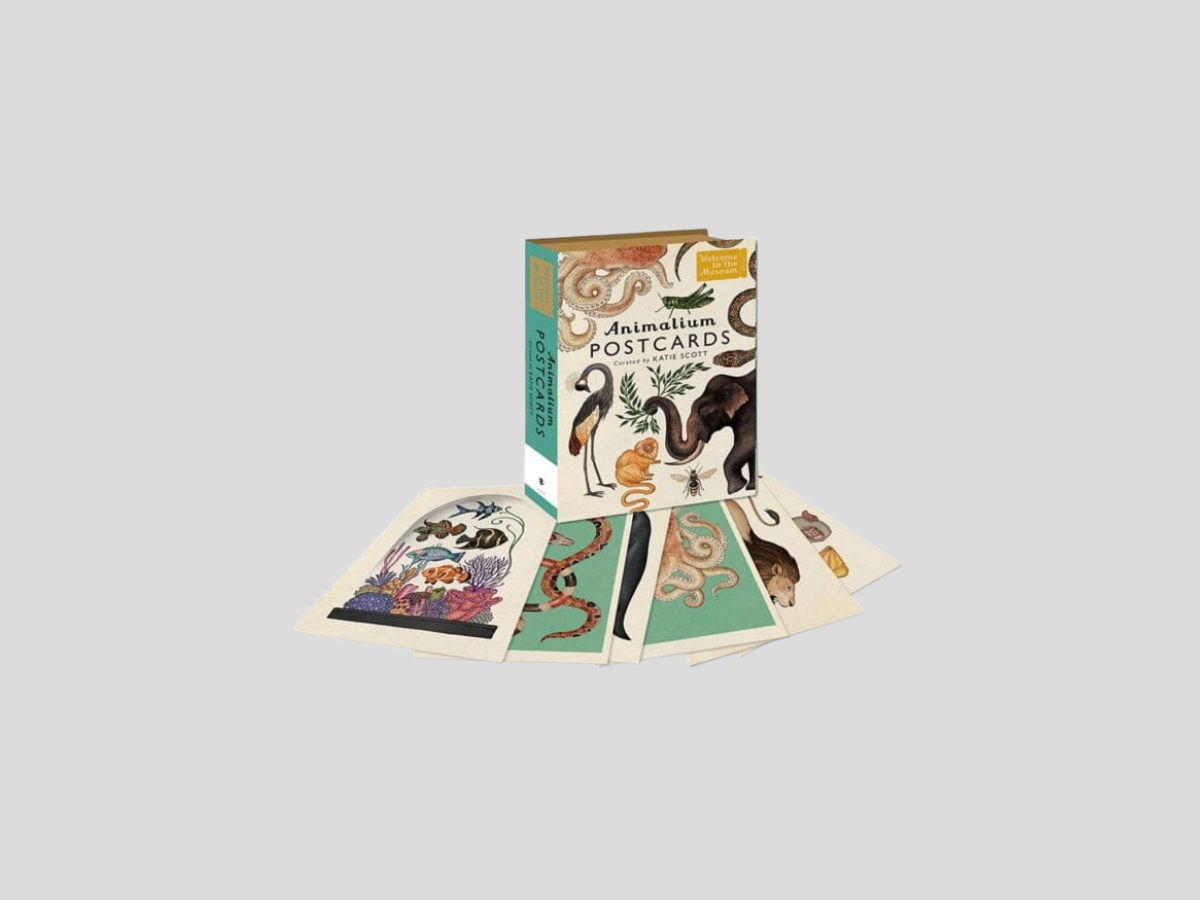 Animalium Postcards by Katie Scott; 9781783706259