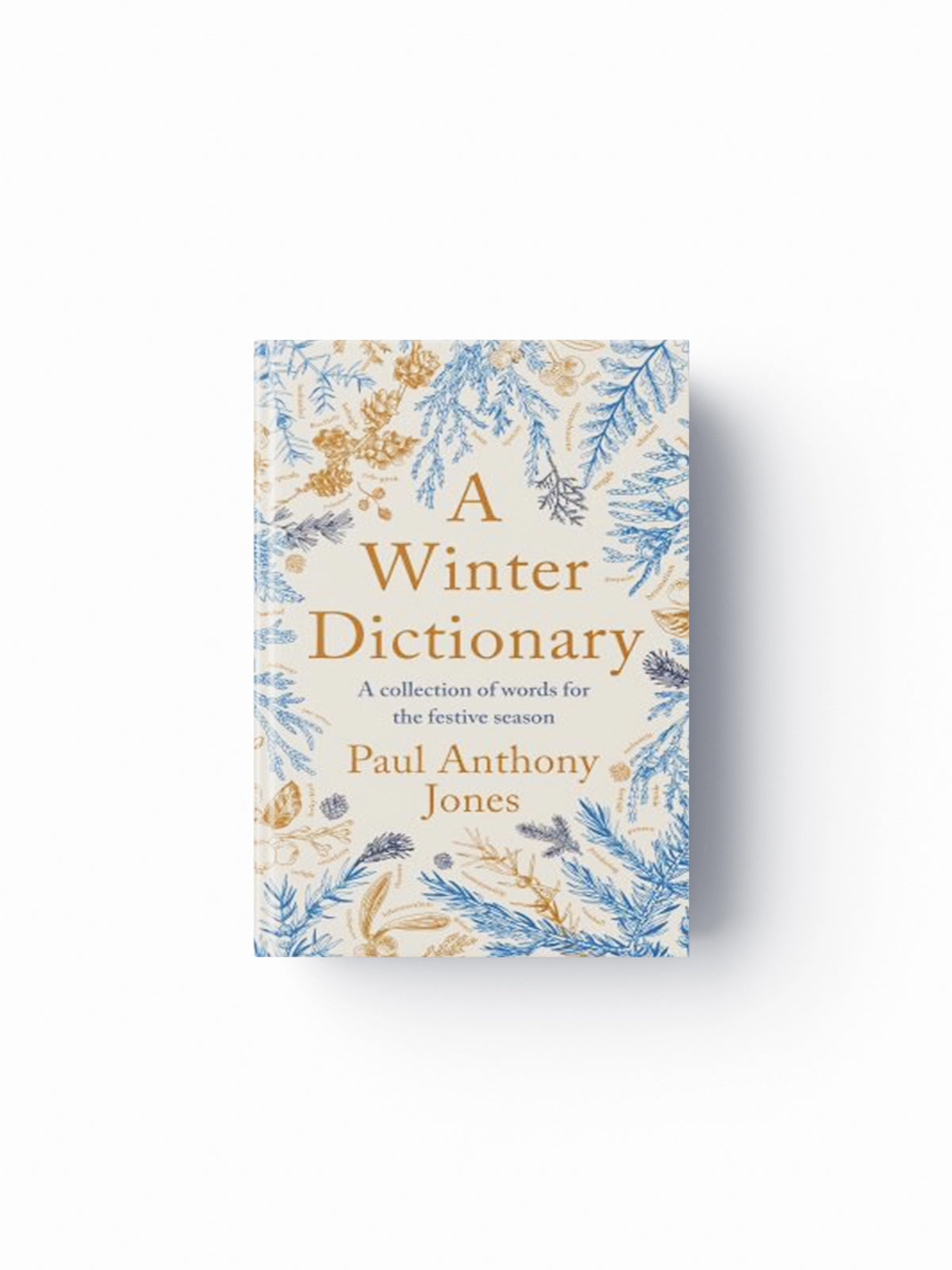 A Winter Dictionary by Paul Anthony Jones; 9781783968237