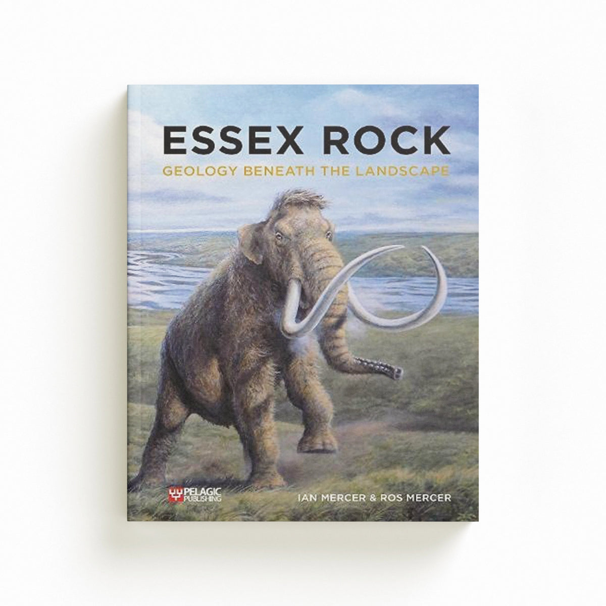 Essex Rock by Ian Mercer; Ros Mercer; 9781784272791