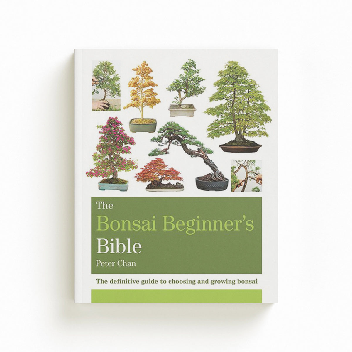 The Bonsai Beginner's Bible by Peter Chan; 9781784723699