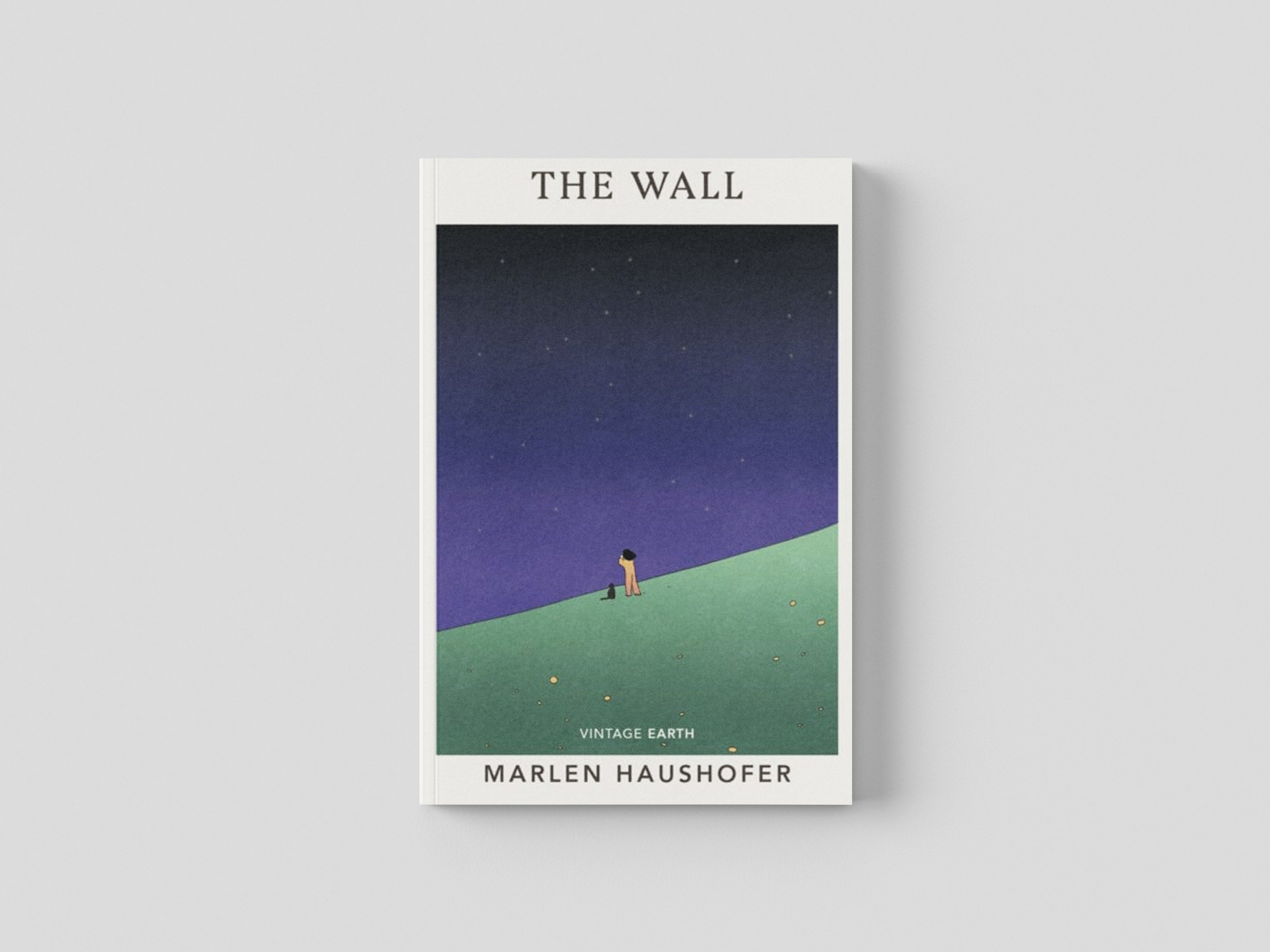 The Wall by Vintage Publishing; 9781784878030