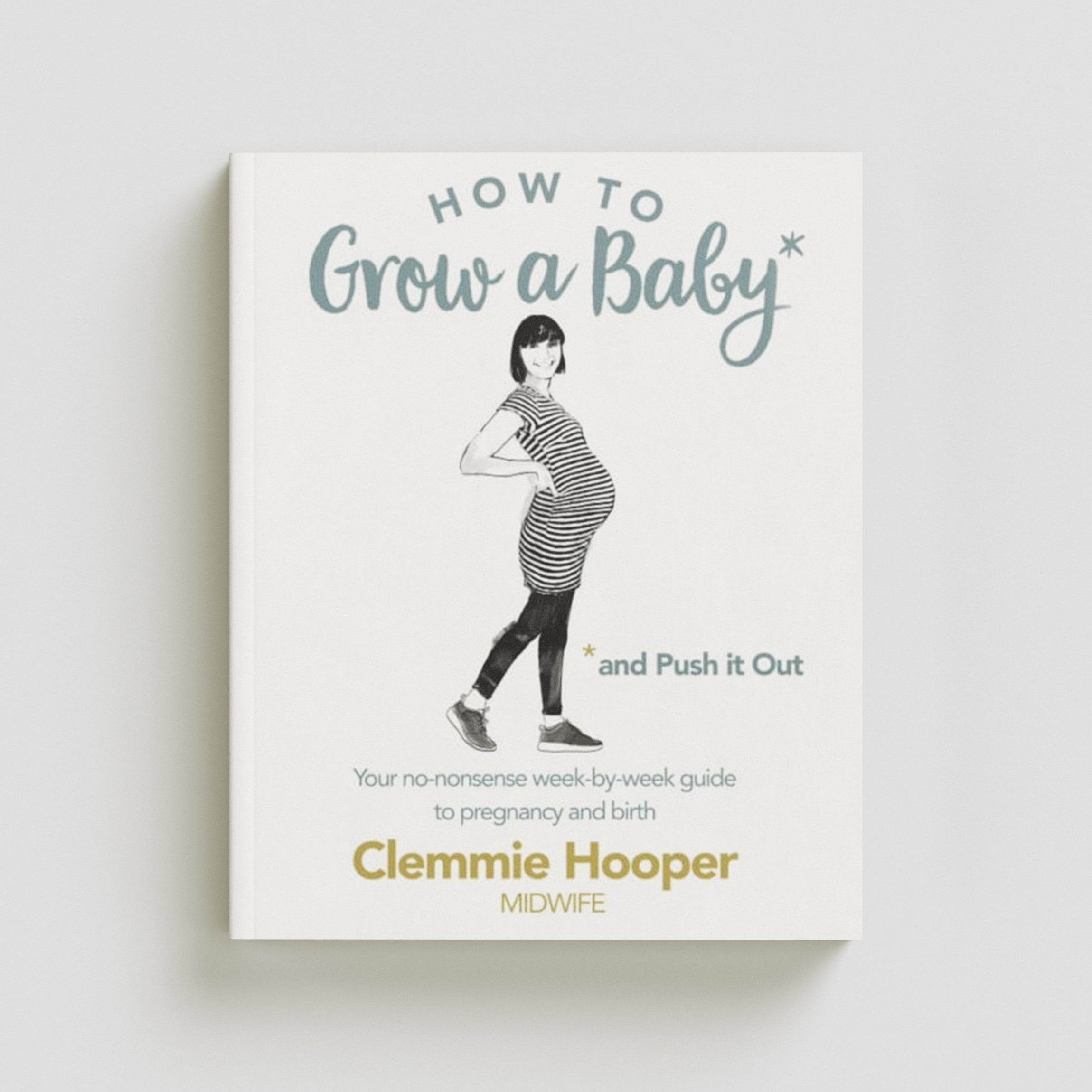How to Grow a Baby and Push It Out by Clemmie Hooper; 9781785040382