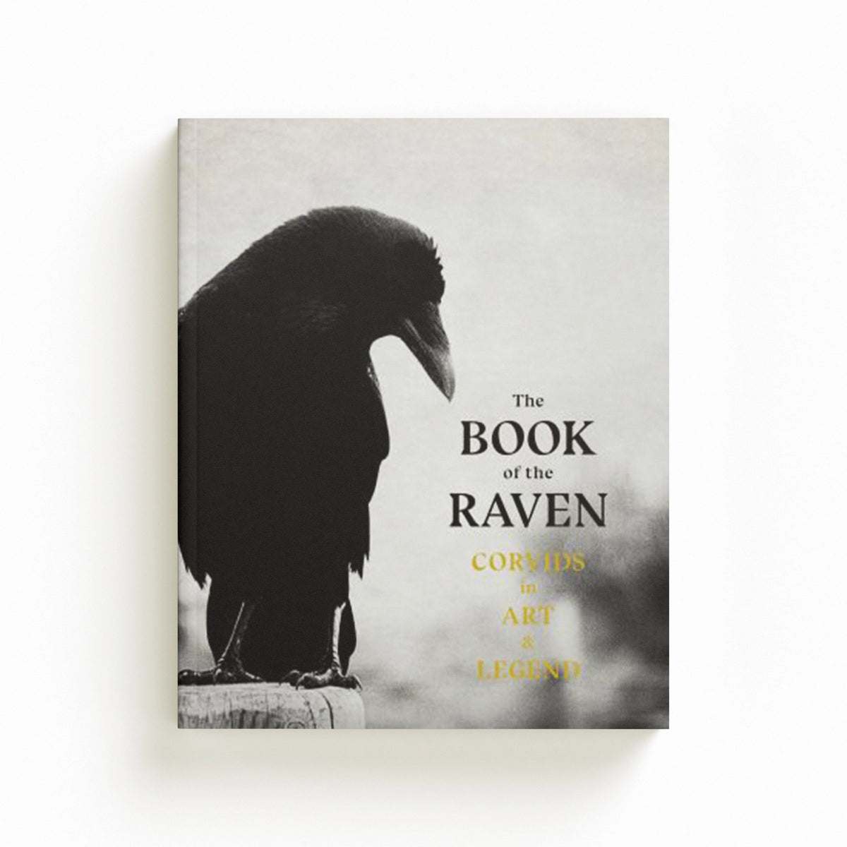 The Book of the Raven by Angus Hyland; Caroline Roberts; 9781786277015