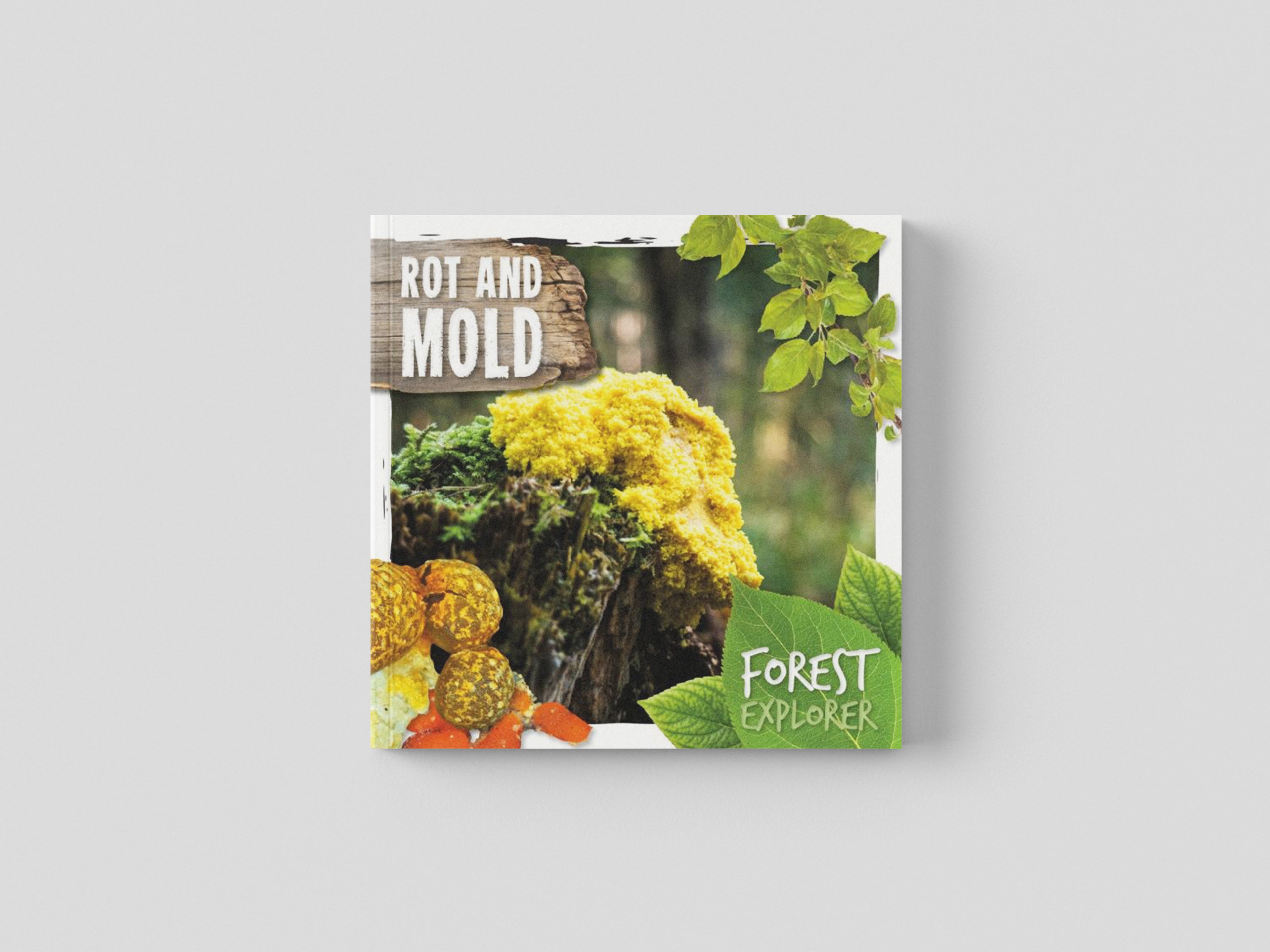Rot & Mould by BookLife Publishing; 9781786374790