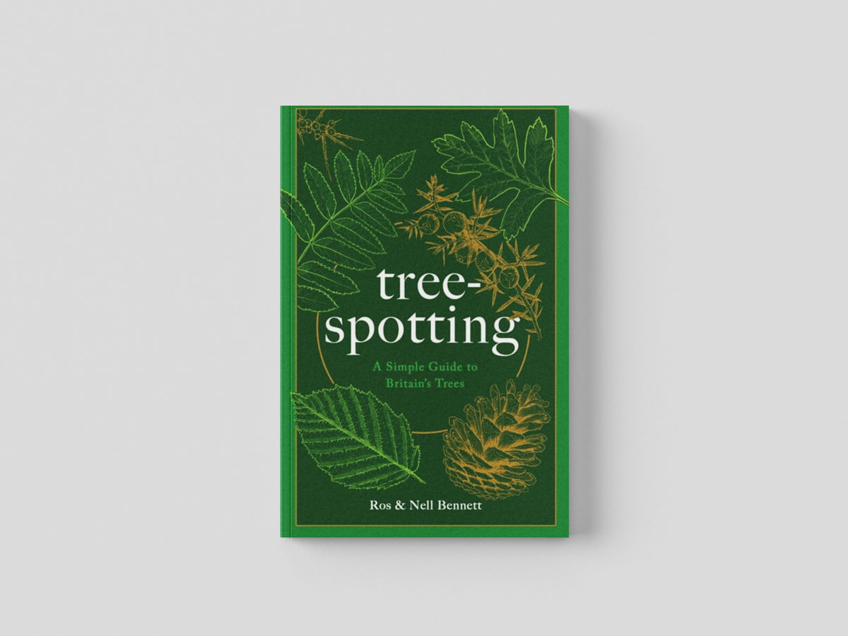 Tree-spotting: A Simple Guide to Britain's Trees by Welbeck Publishing Group; 9781787398702