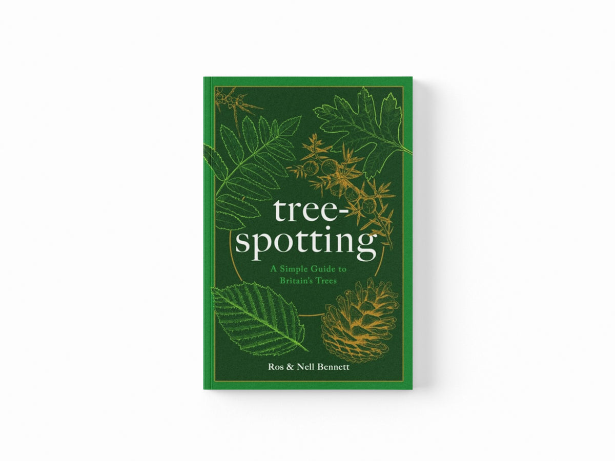 Tree-spotting: A Simple Guide to Britain's Trees