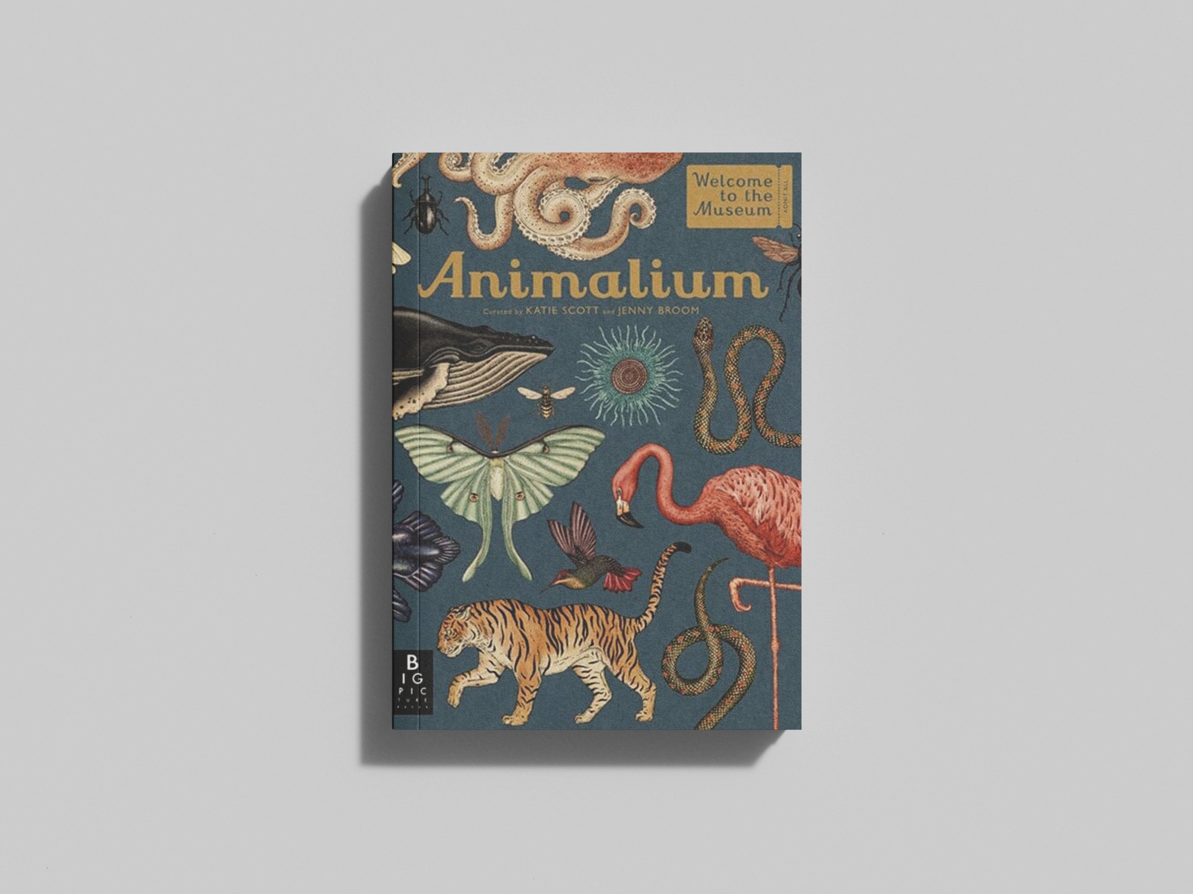 Animalium by Jenny Broom; 9781787411647