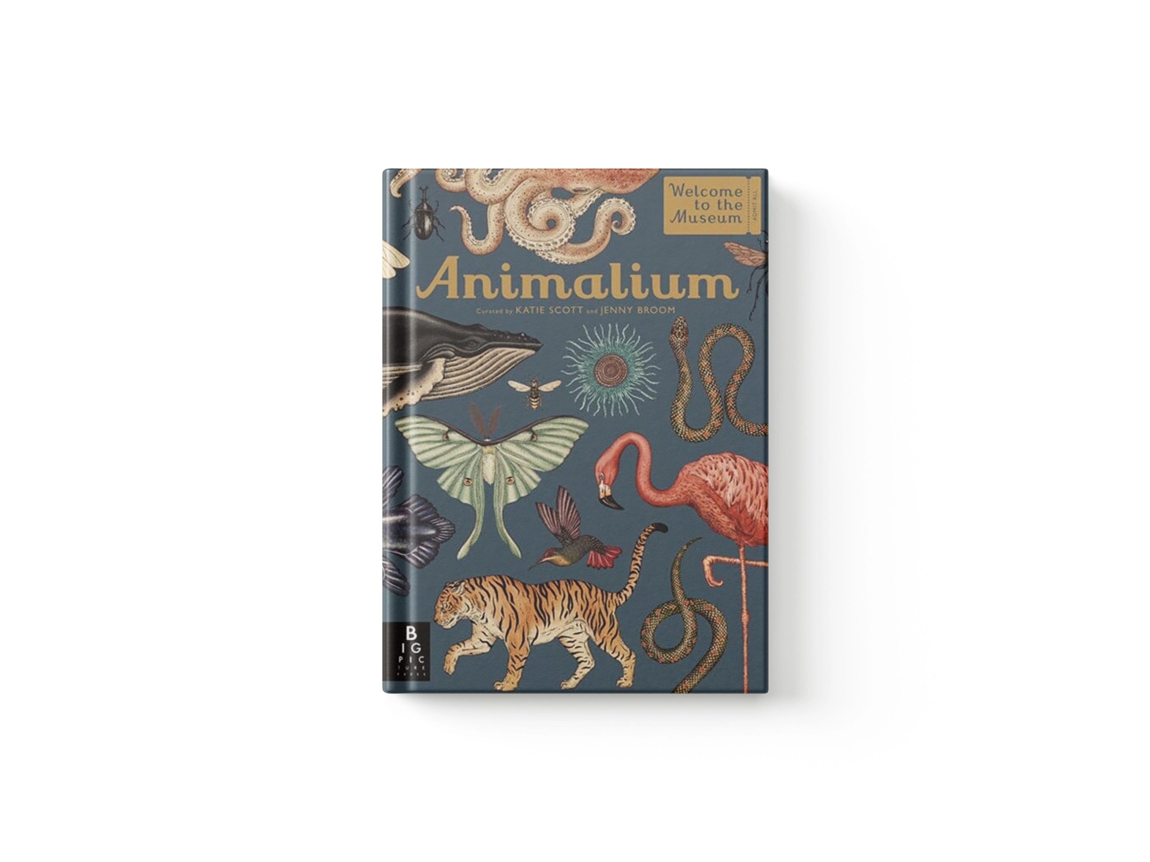 Animalium