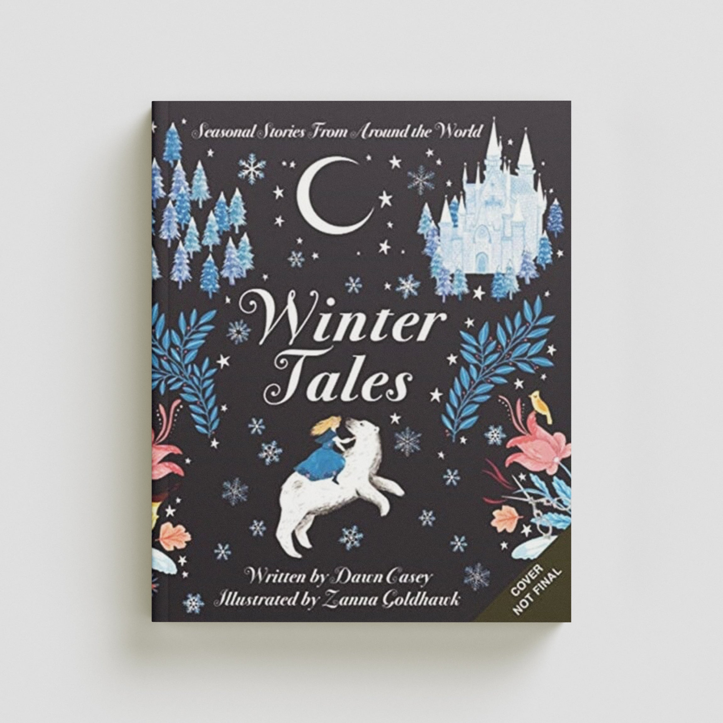Winter Tales by Dawn Casey; 9781787416871