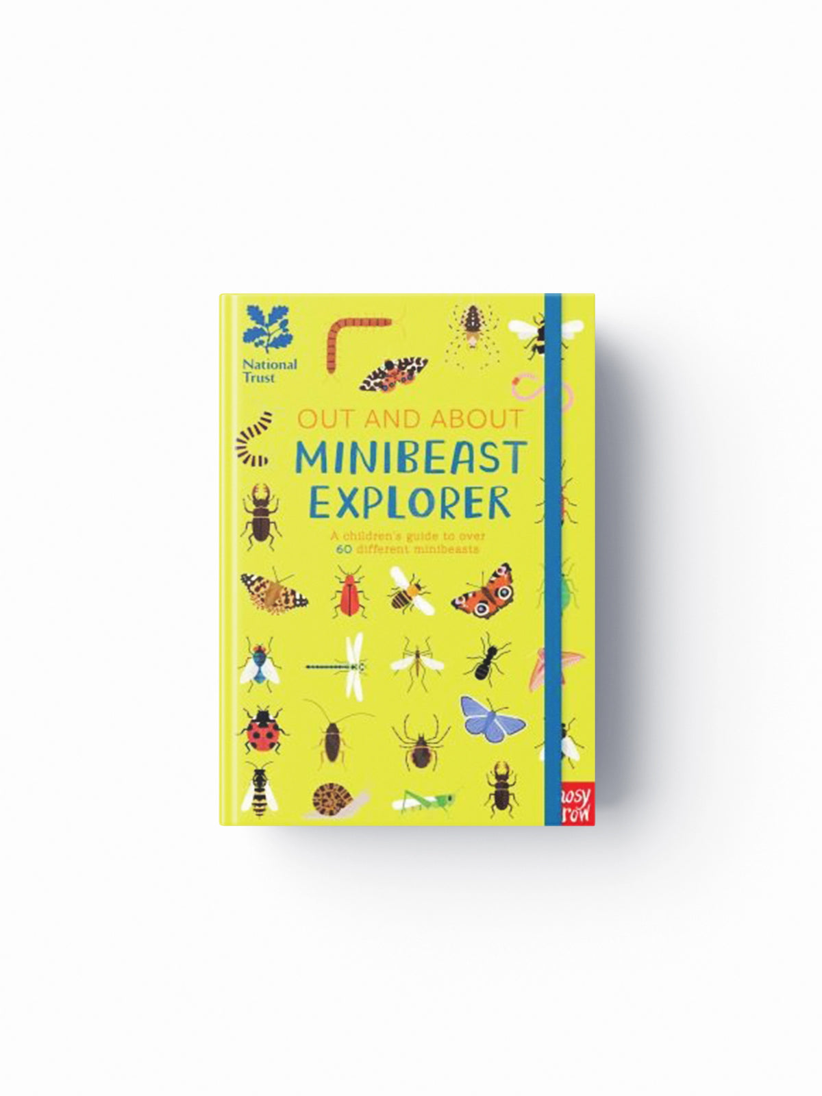 National Trust: Out and About Minibeast Explorer by Robyn Swift; 9781788004411