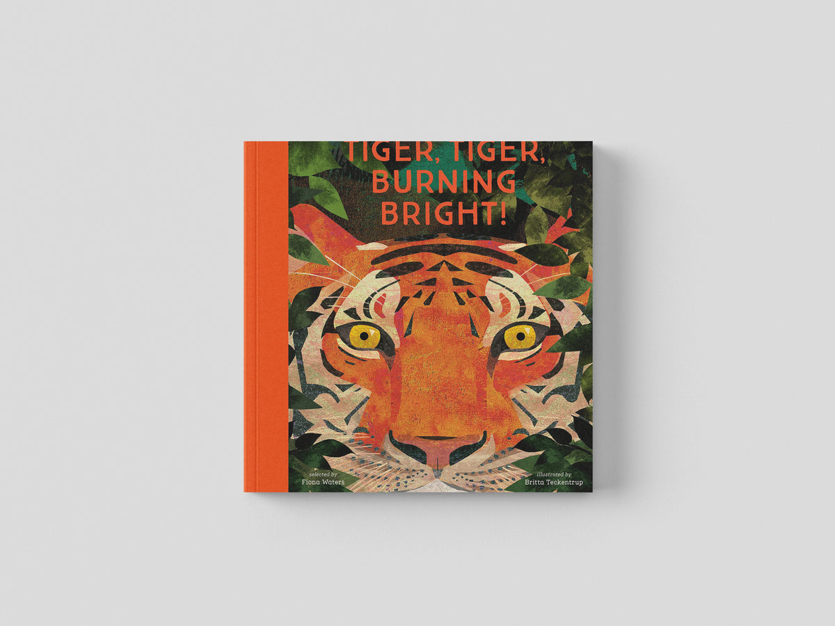Tiger, Tiger, Burning Bright! selected by Fiona Waters - Ages 4-11 by Nosy Crow Ltd; 9781788005678