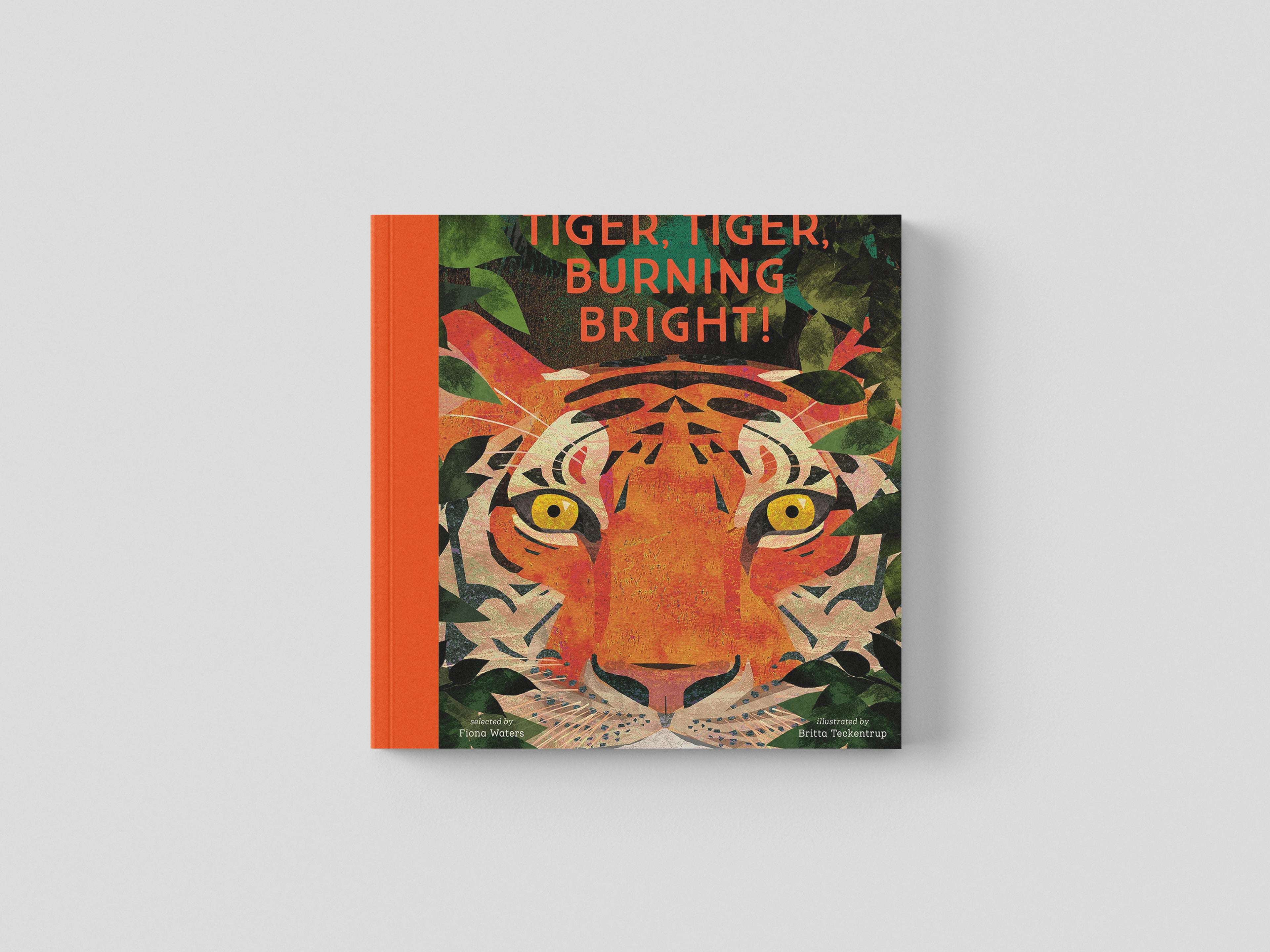 Tiger, Tiger, Burning Bright! selected by Fiona Waters - Ages 4-11 by Nosy Crow Ltd; 9781788005678