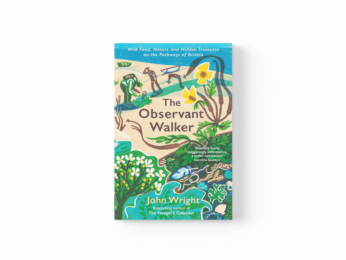 The Observant Walker by John Wright; 9781788166881