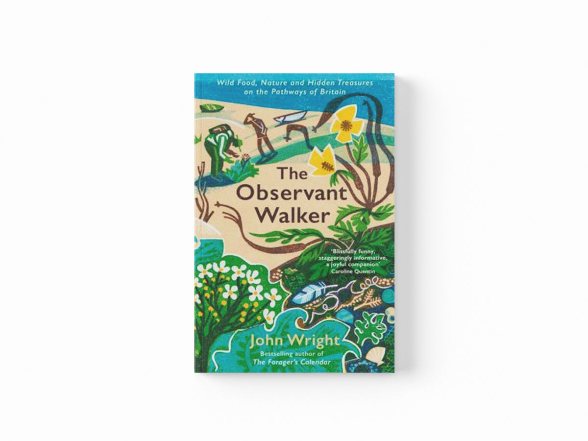 The Observant Walker by John Wright; 9781788166881
