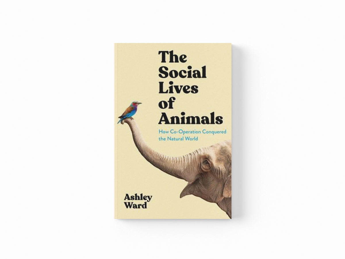 The Social Lives of Animals by Ashley Ward; 9781788168854