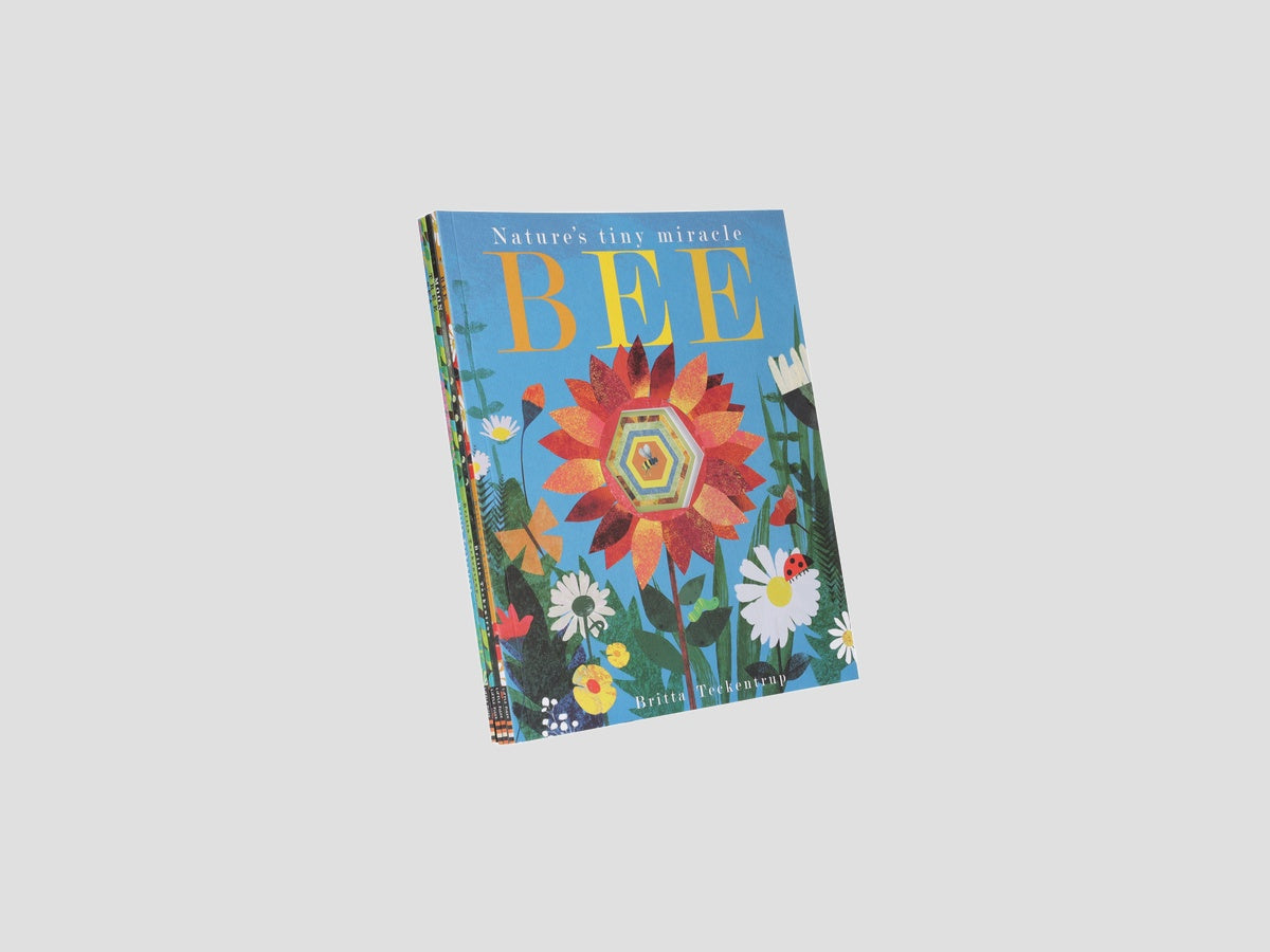 A Peek-Through 4 Nature Picture Book Set - Age 2-5 by Little Tiger Press Group; 9781788819763