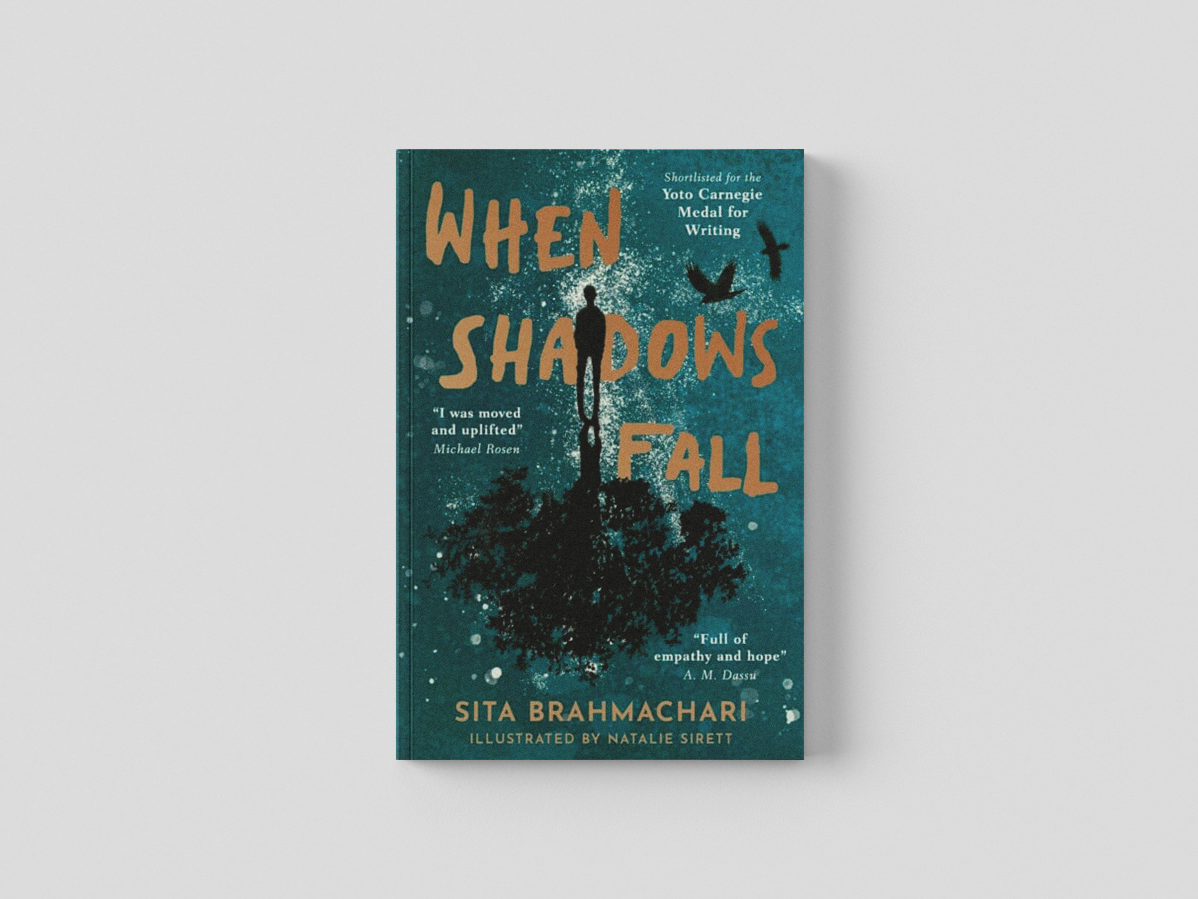 When Shadows Fall by Little Tiger Press Group; 9781788956802