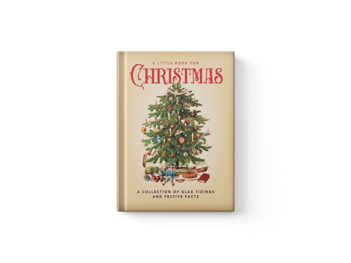 A Little Book for Christmas by OH; 9781800692367