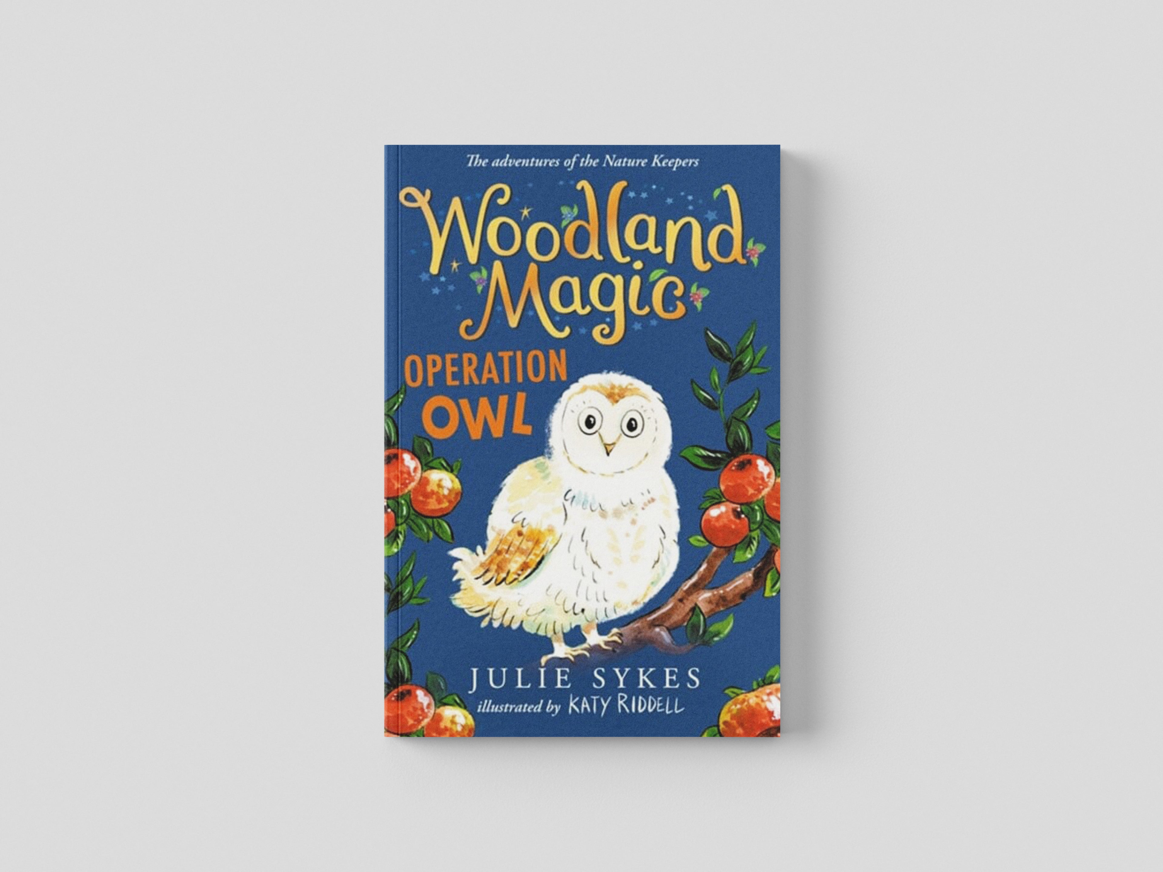 Woodland Magic 4: Operation Owl by Julie Sykes; 9781800781450