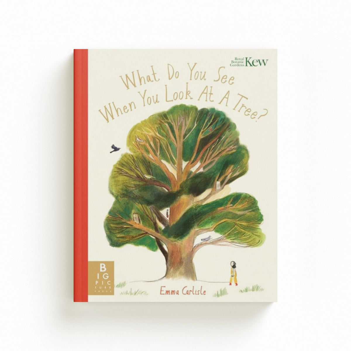 What Do You See When You Look At a Tree?