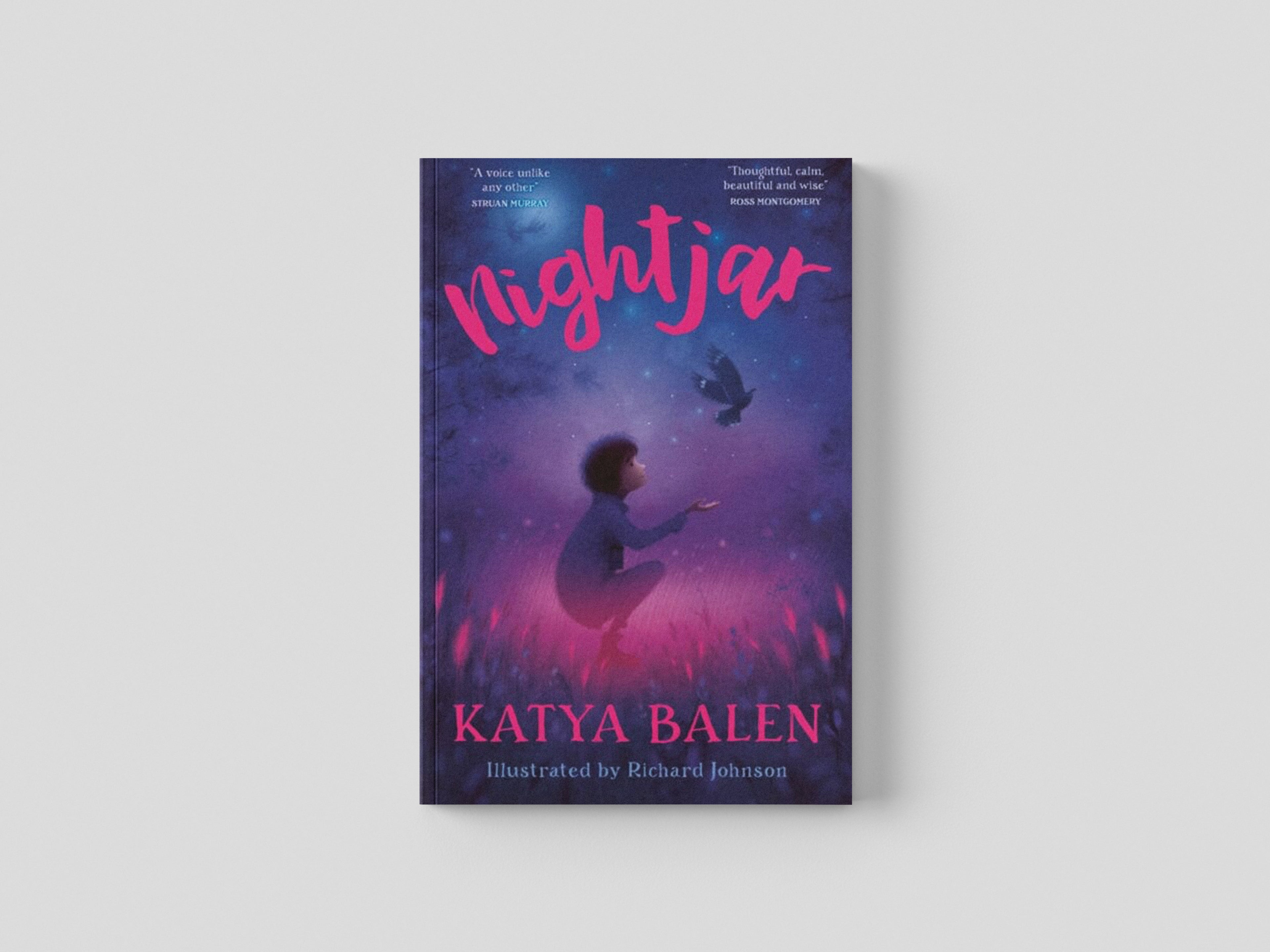 Nightjar by Katya Balen; 9781800901667