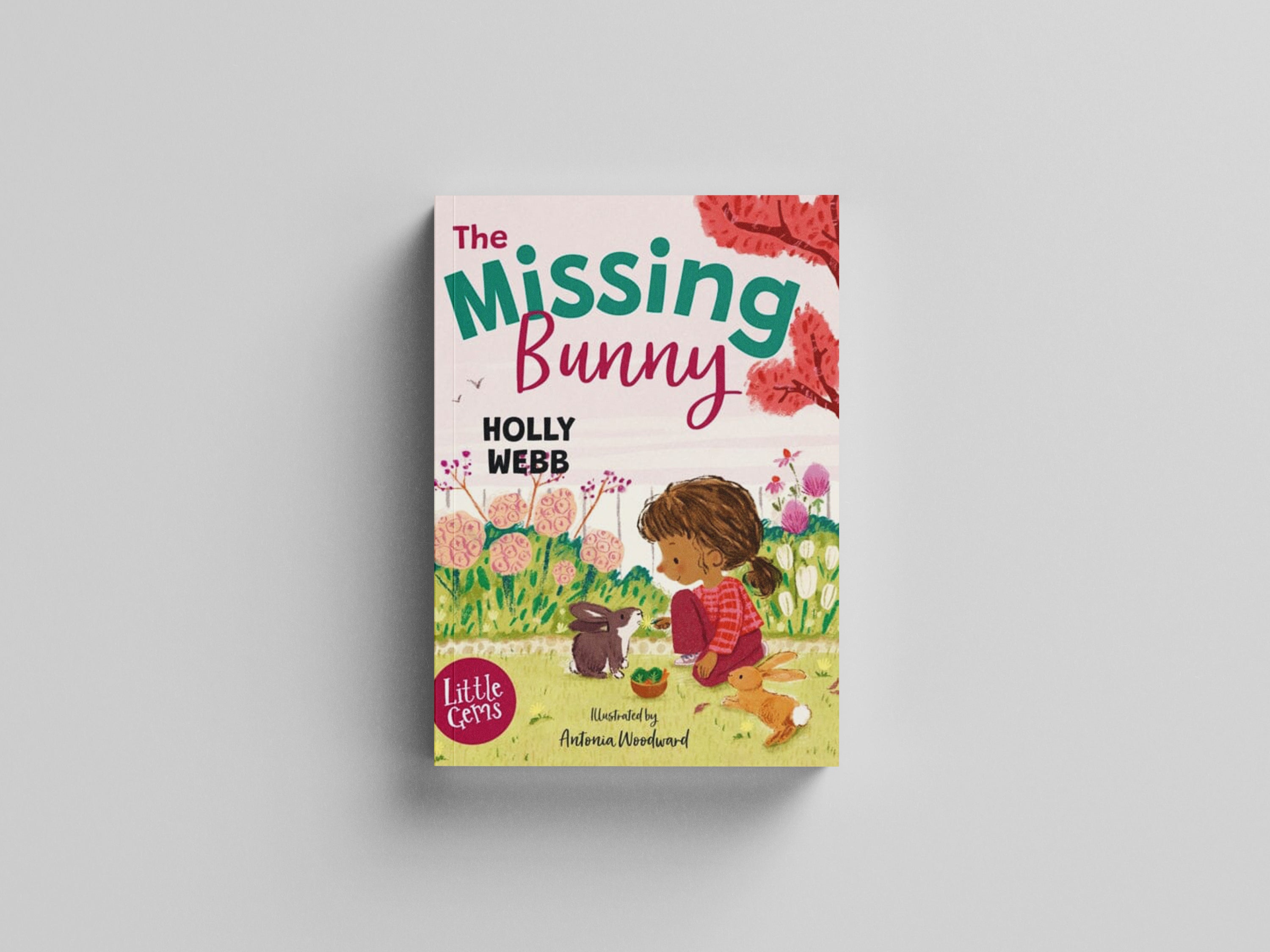The Missing Bunny by Holly Webb; 9781800902411