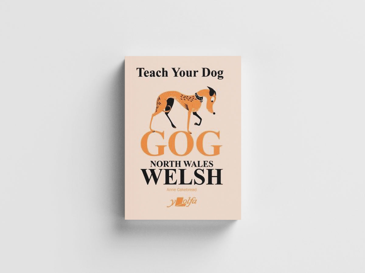 Teach Your Dog Gog by Anne Cakebread; 9781800991828