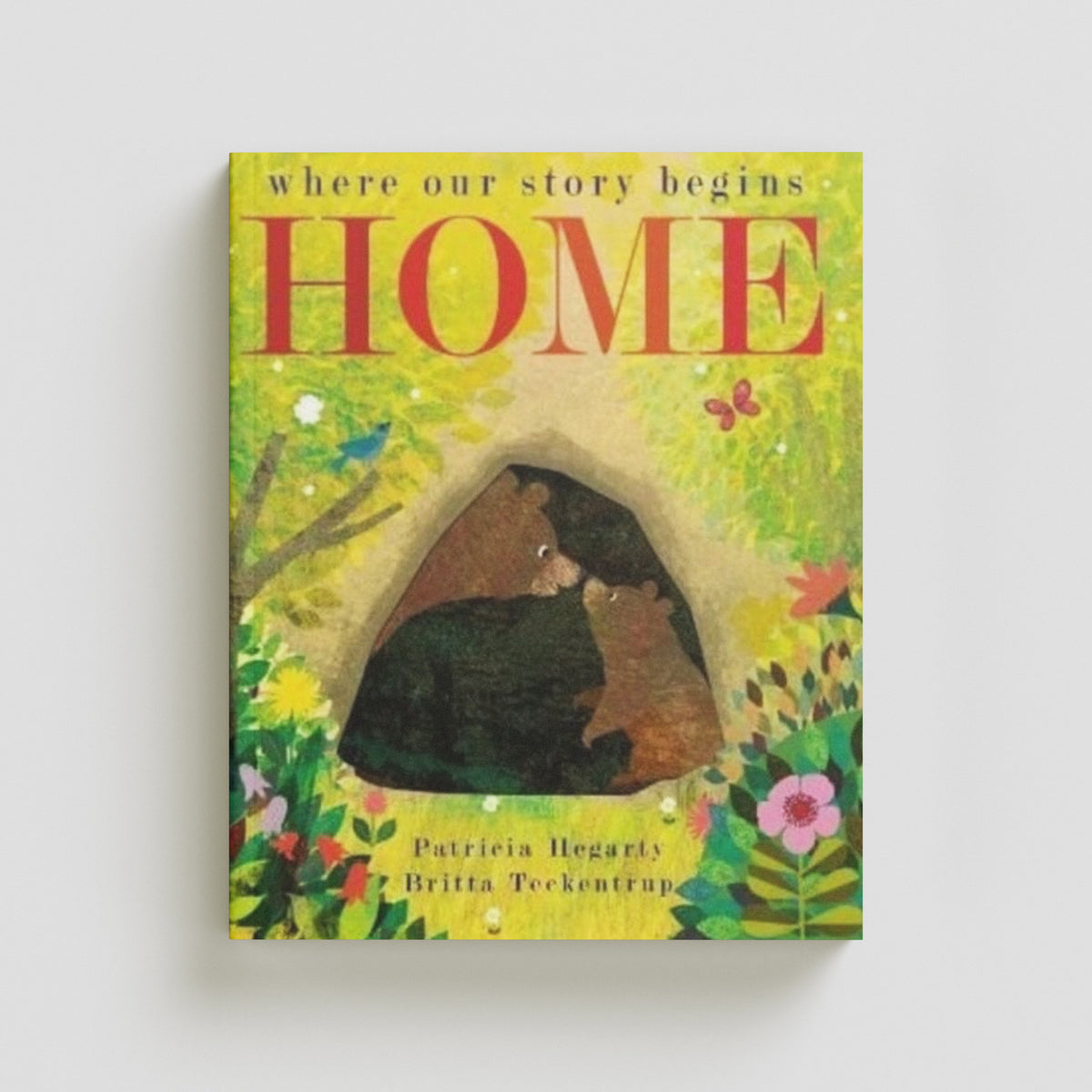 Home by Little Tiger Press Group; 9781801043298