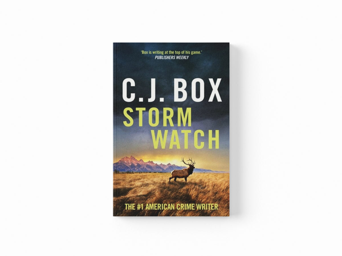 Storm Watch Paperback / softback