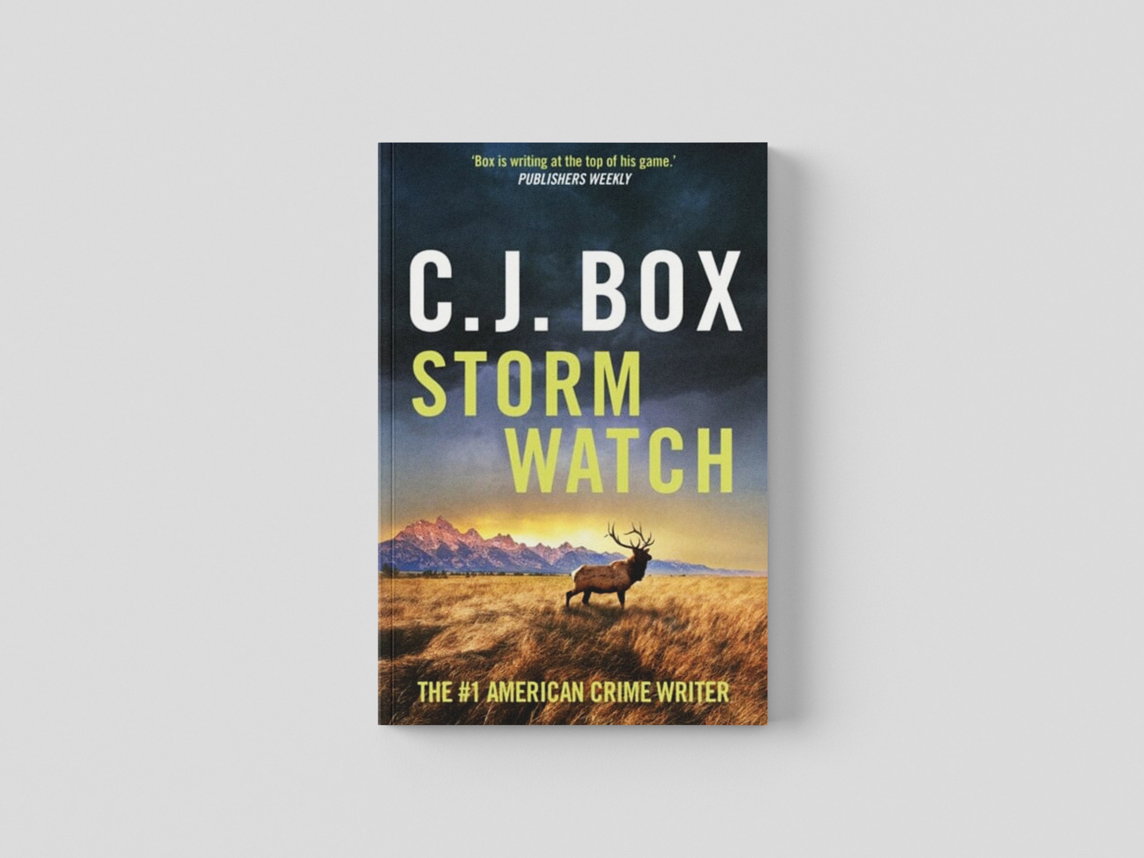 Storm Watch Paperback / softback