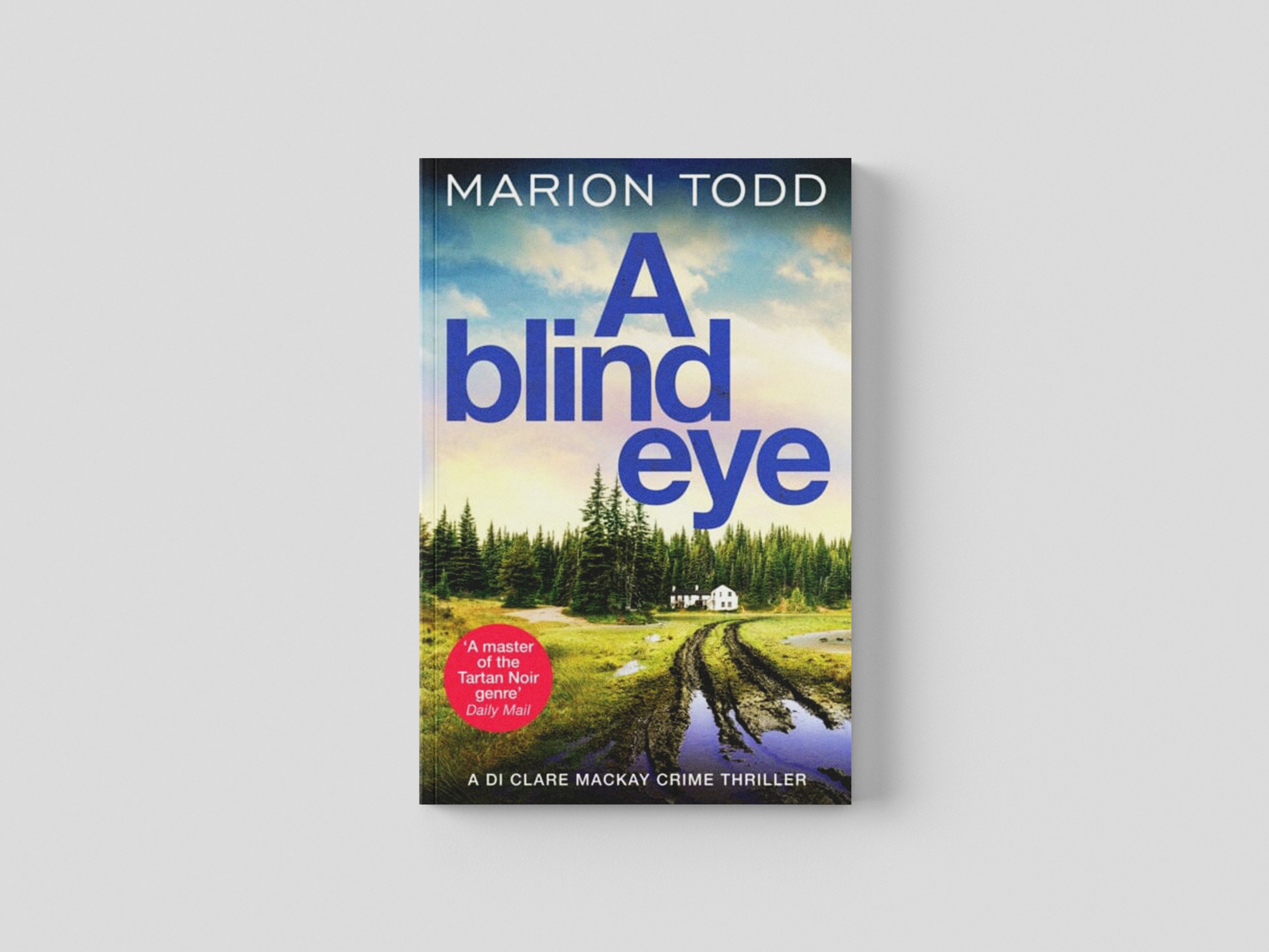 A Blind Eye Paperback / softback