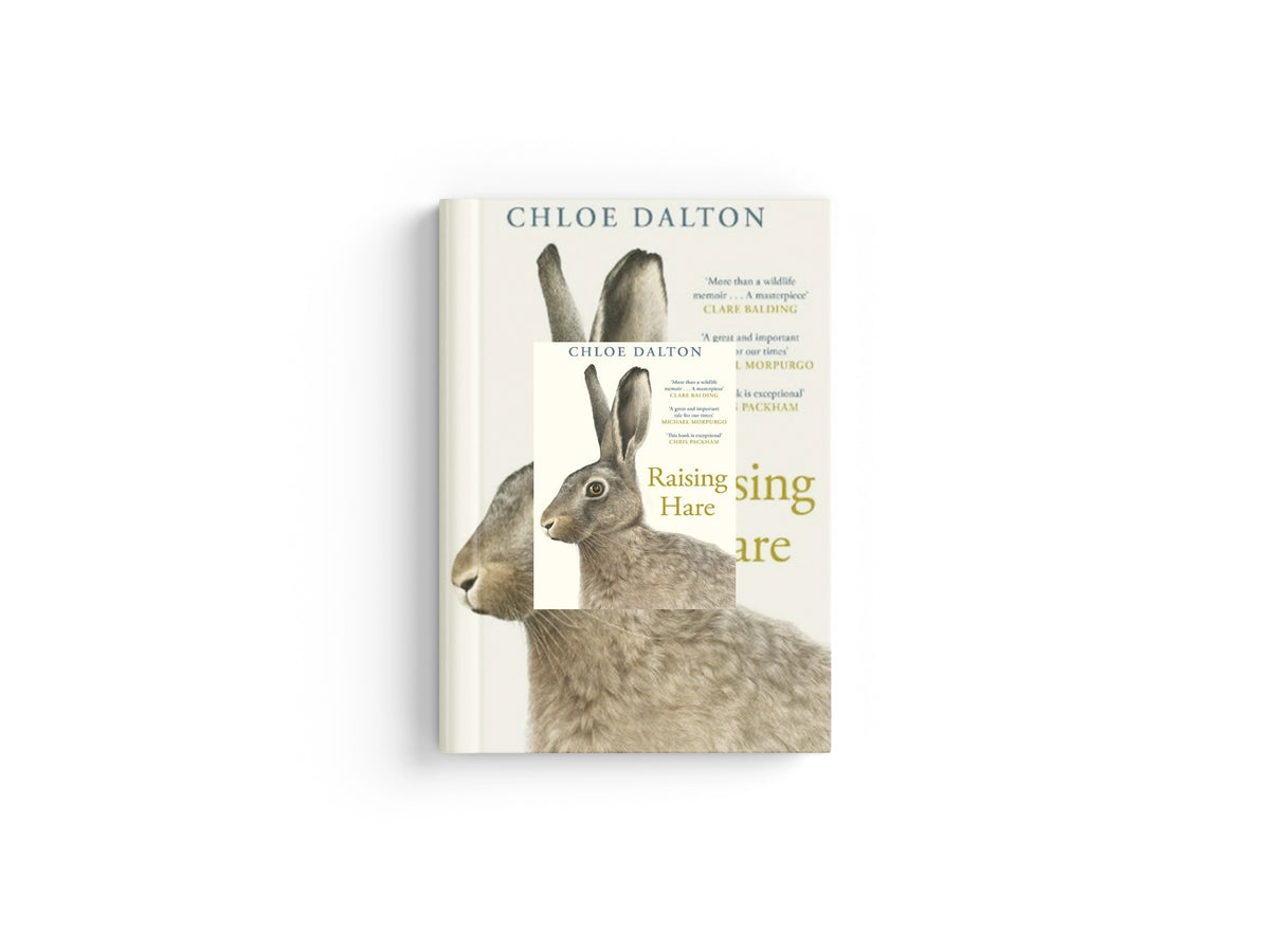 Raising Hare by Chloe Dalton; 9781805302711