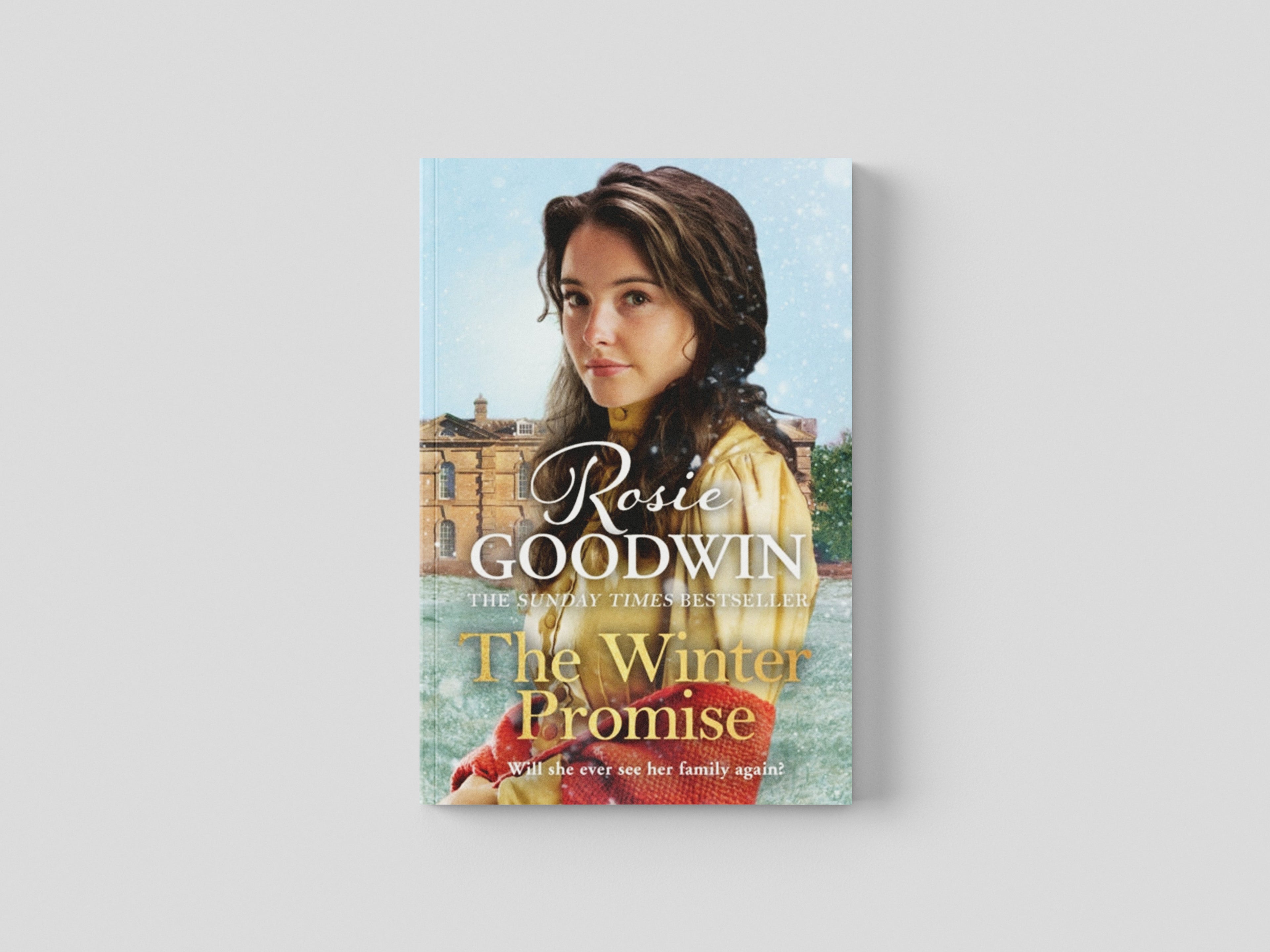 The Winter Promise by Rosie Goodwin; 9781838772994