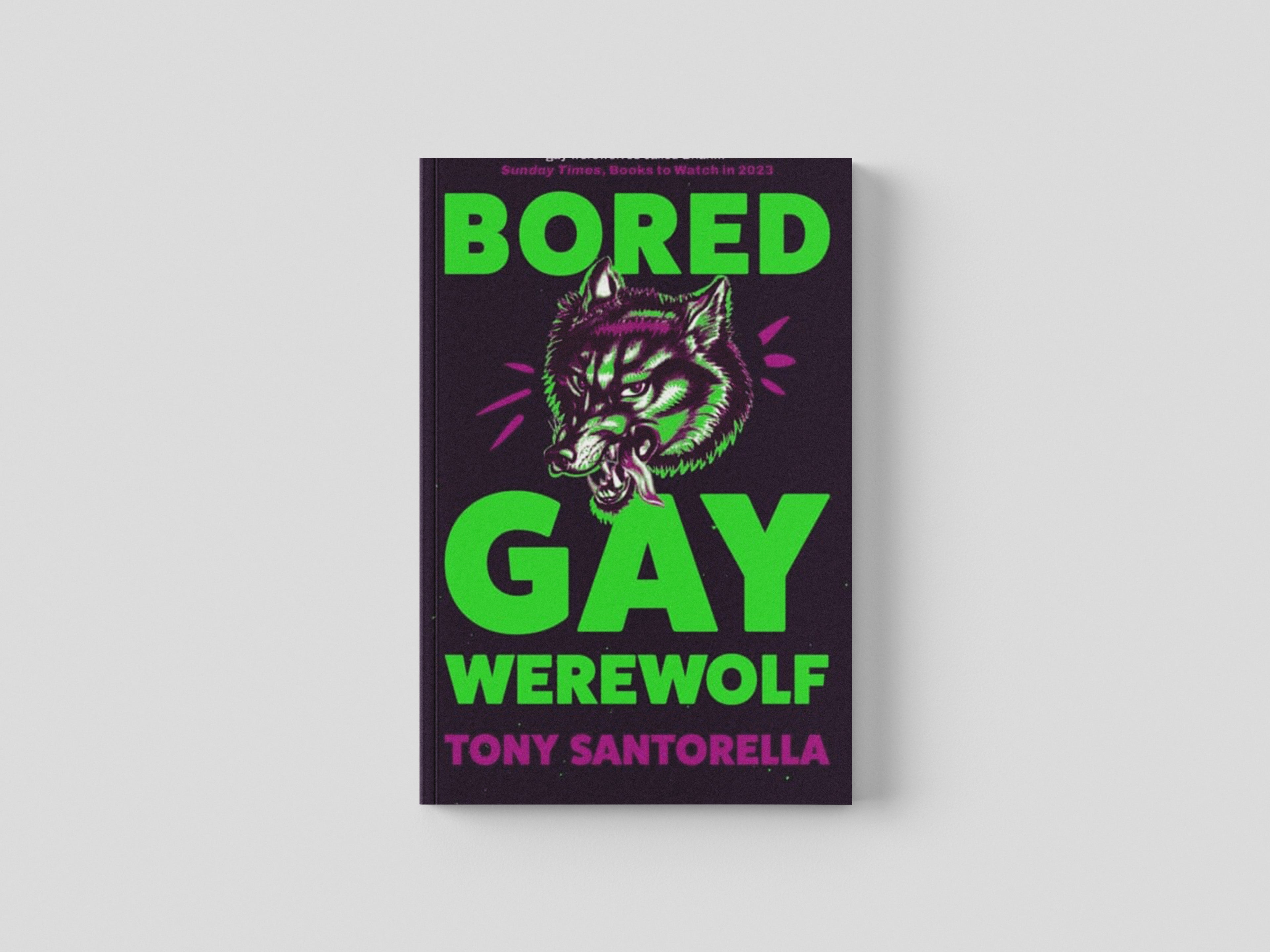Bored Gay Werewolf : An ungodly joy Attitude Magazine by Tony Santorella; 9781838957018