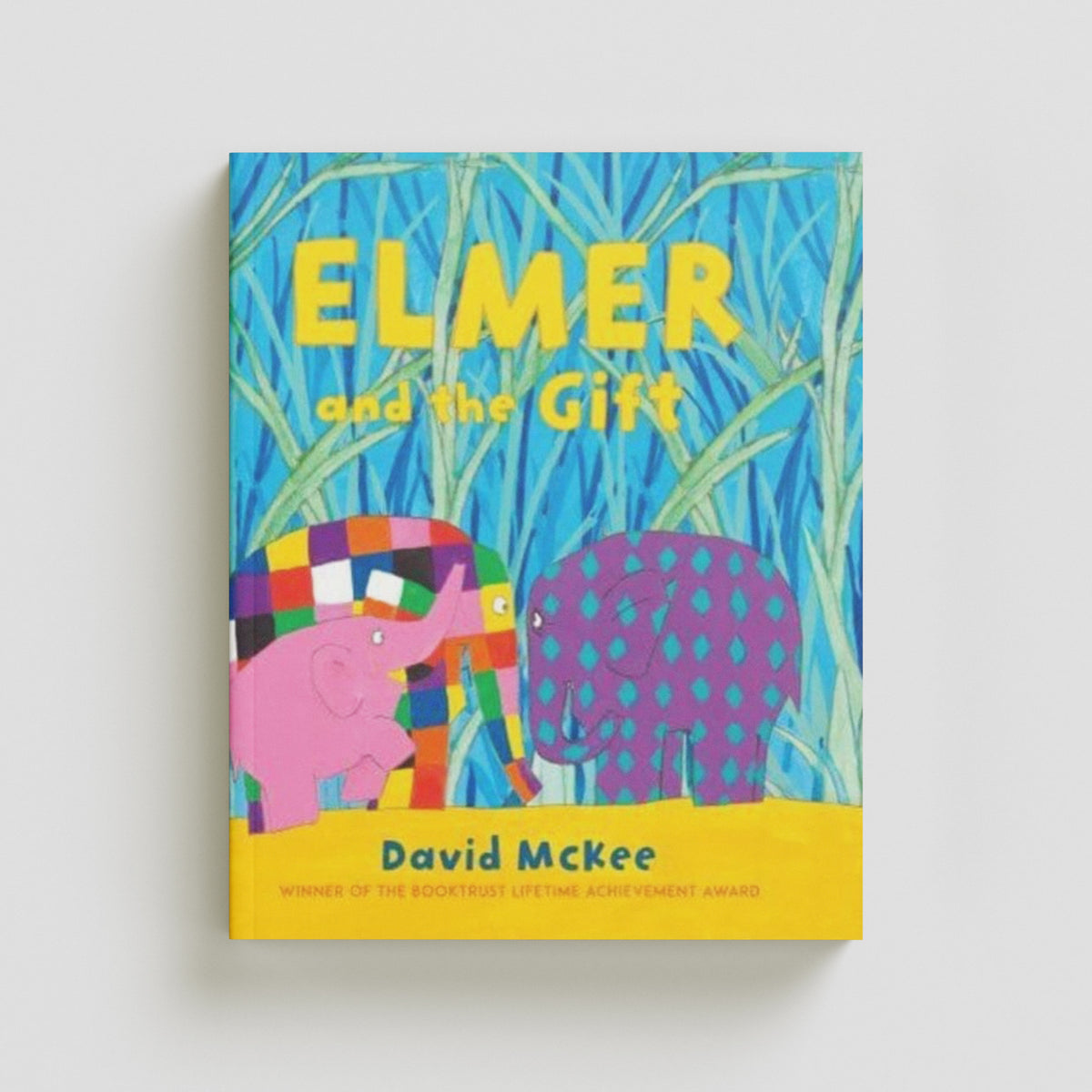 Elmer and the Gift by David McKee; 9781839131608