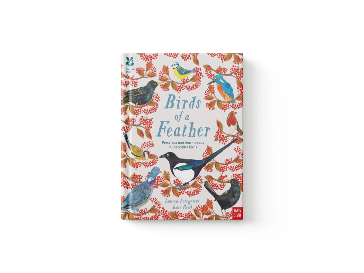 National Trust: Birds of a Feather: Press out and learn about 10 beautiful birds