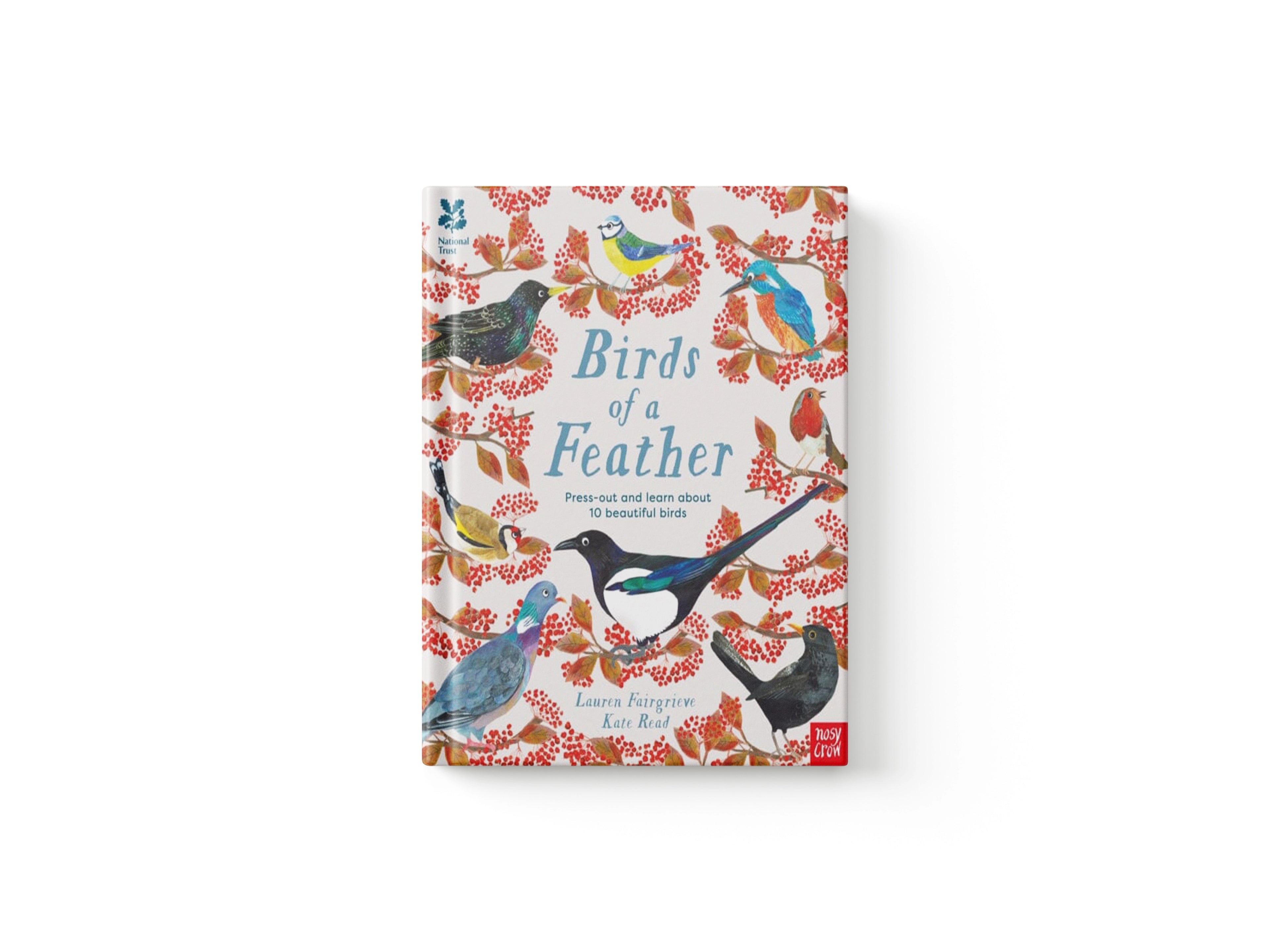 National Trust: Birds of a Feather: Press out and learn about 10 beautiful birds