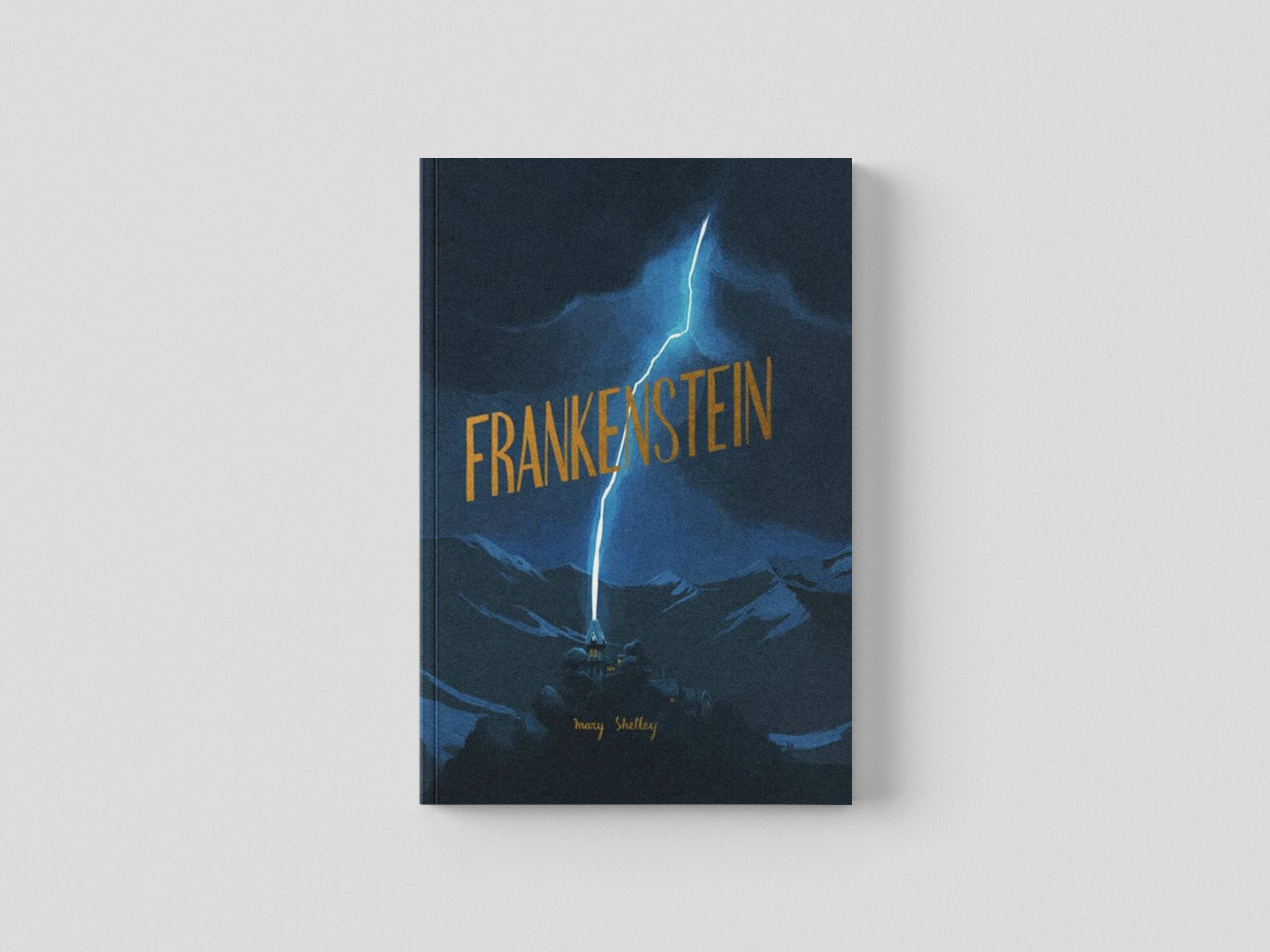 Frankenstein by Wordsworth Editions Ltd; 9781840228342