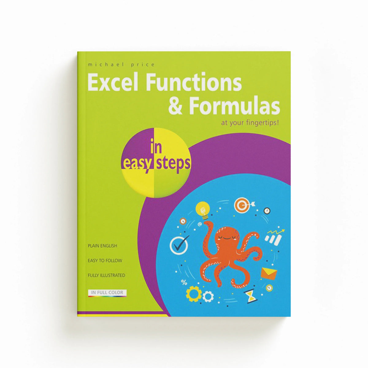 Excel Functions and Formulas in easy steps by Michael Price; 9781840788815
