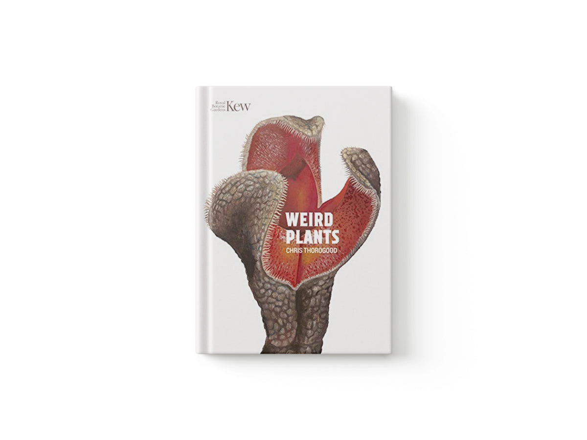 Weird Plants by Chris Thorogood; 9781842466629