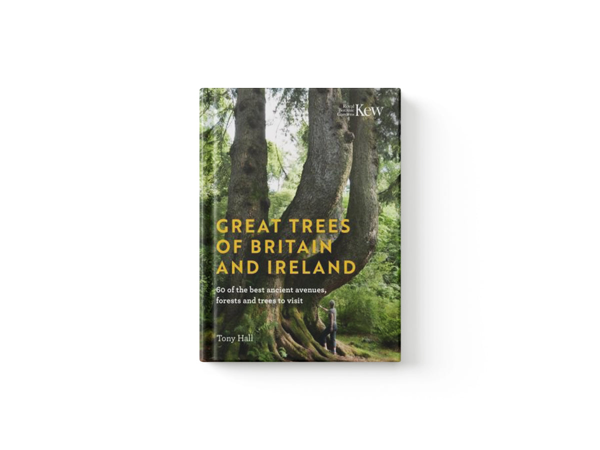 Great Trees of Britain and Ireland by Tony Hall; 9781842467466