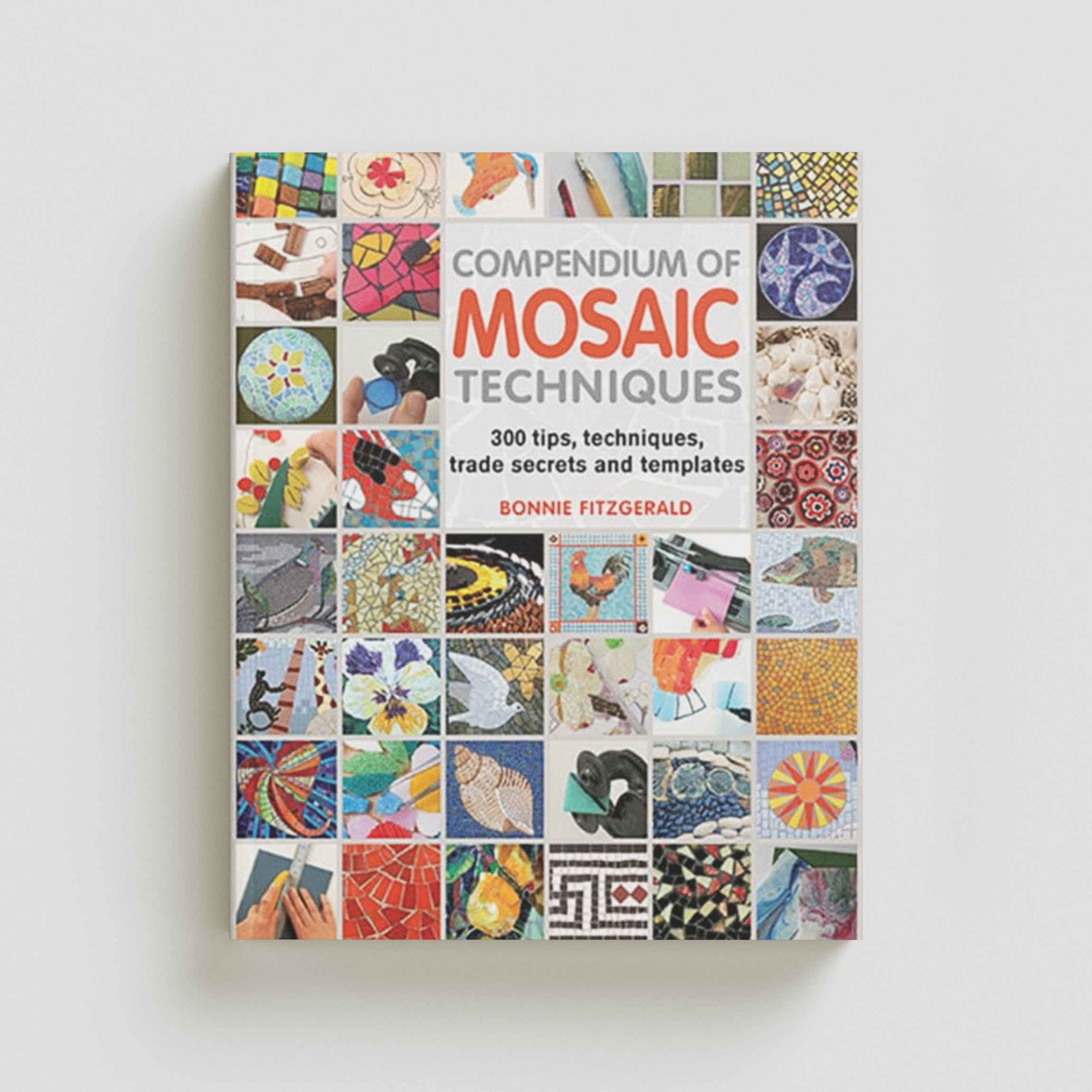 Compendium of Mosaic Techniques by Bonnie Fitzgerald; 9781844488049